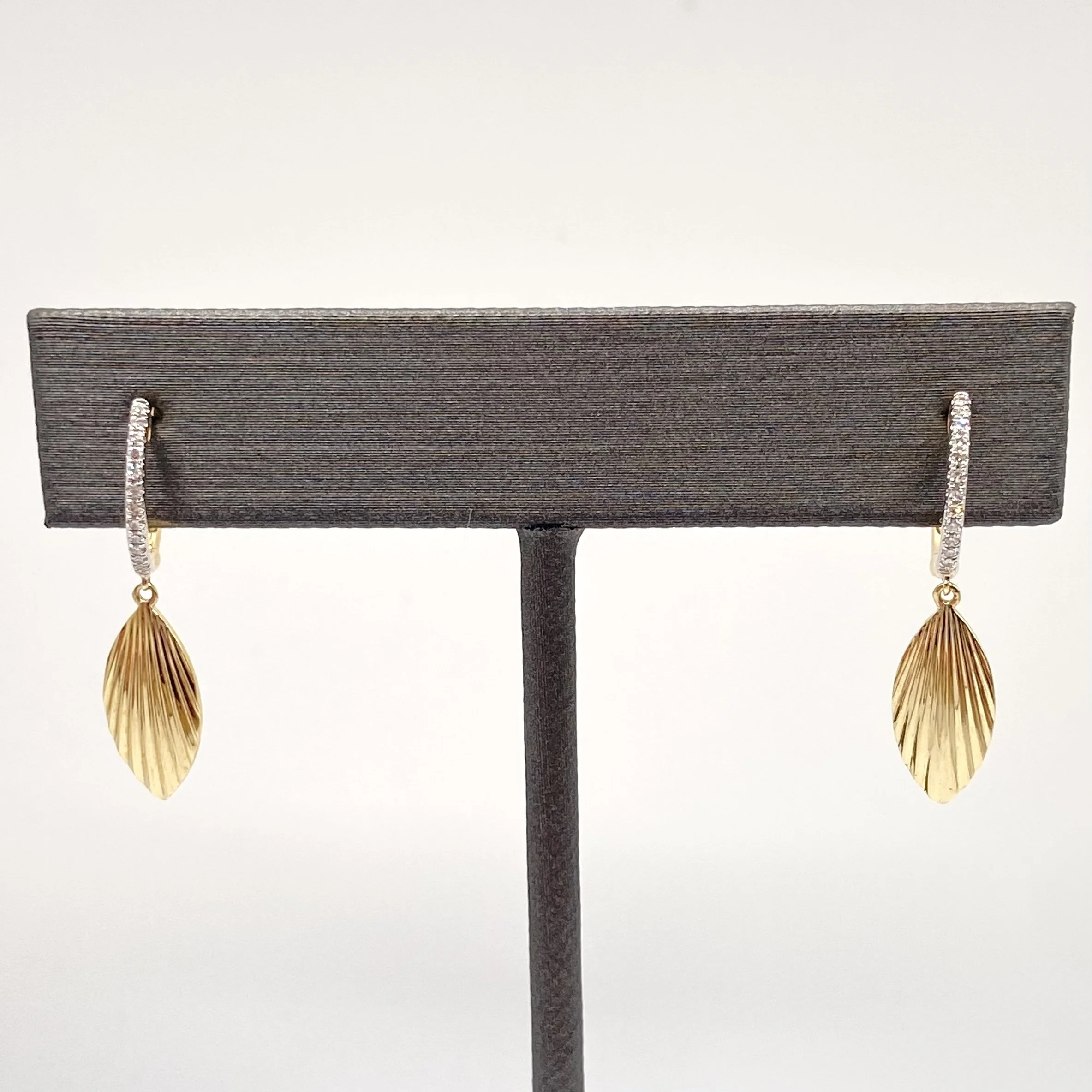 Photo Feb 05 2026, 1 13 24 PM.jpg