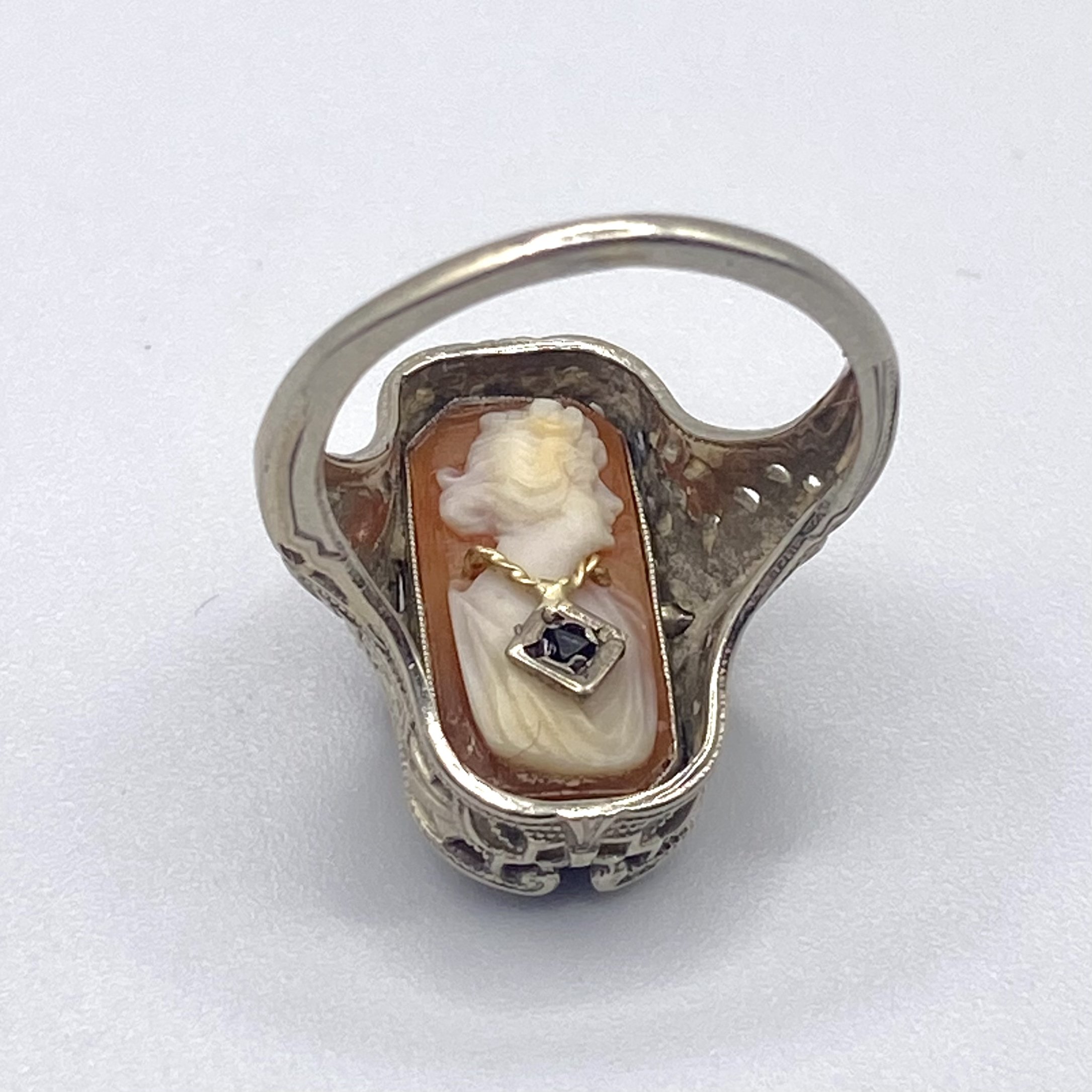 Photo Feb 18 2026, 1 29 57 PM.jpg