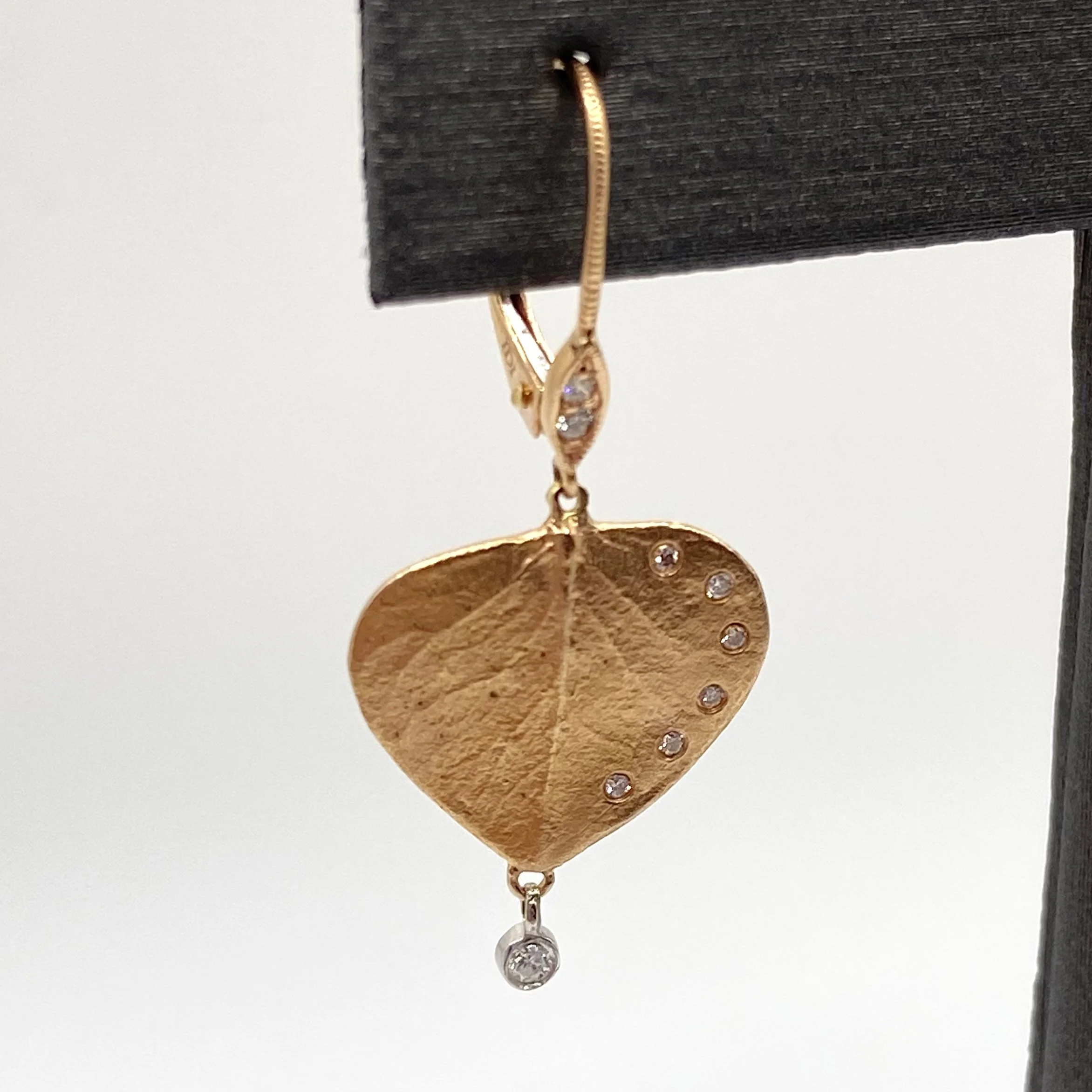 Photo Feb 05 2026, 1 15 53 PM.jpg