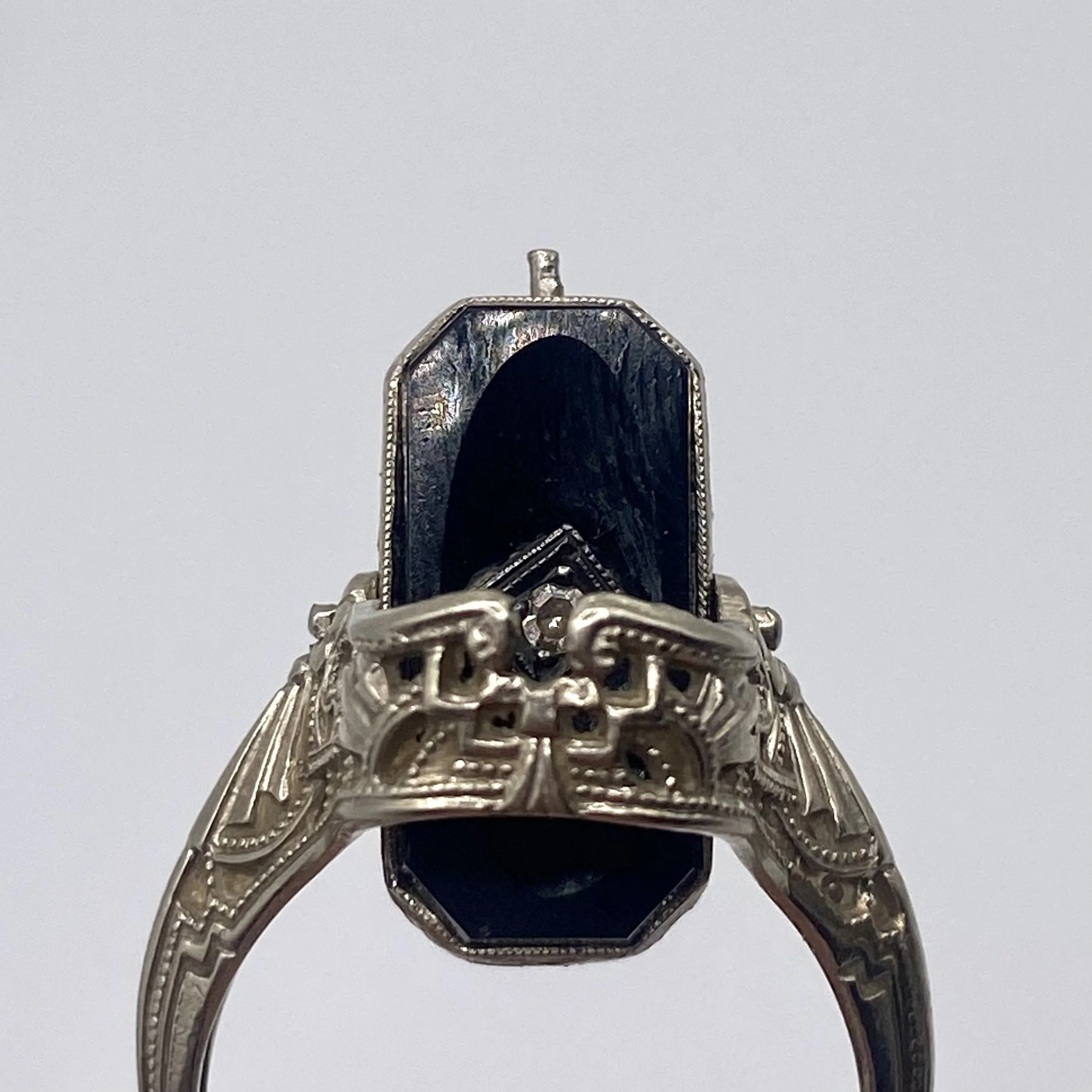 Photo Feb 18 2026, 1 31 04 PM.jpg