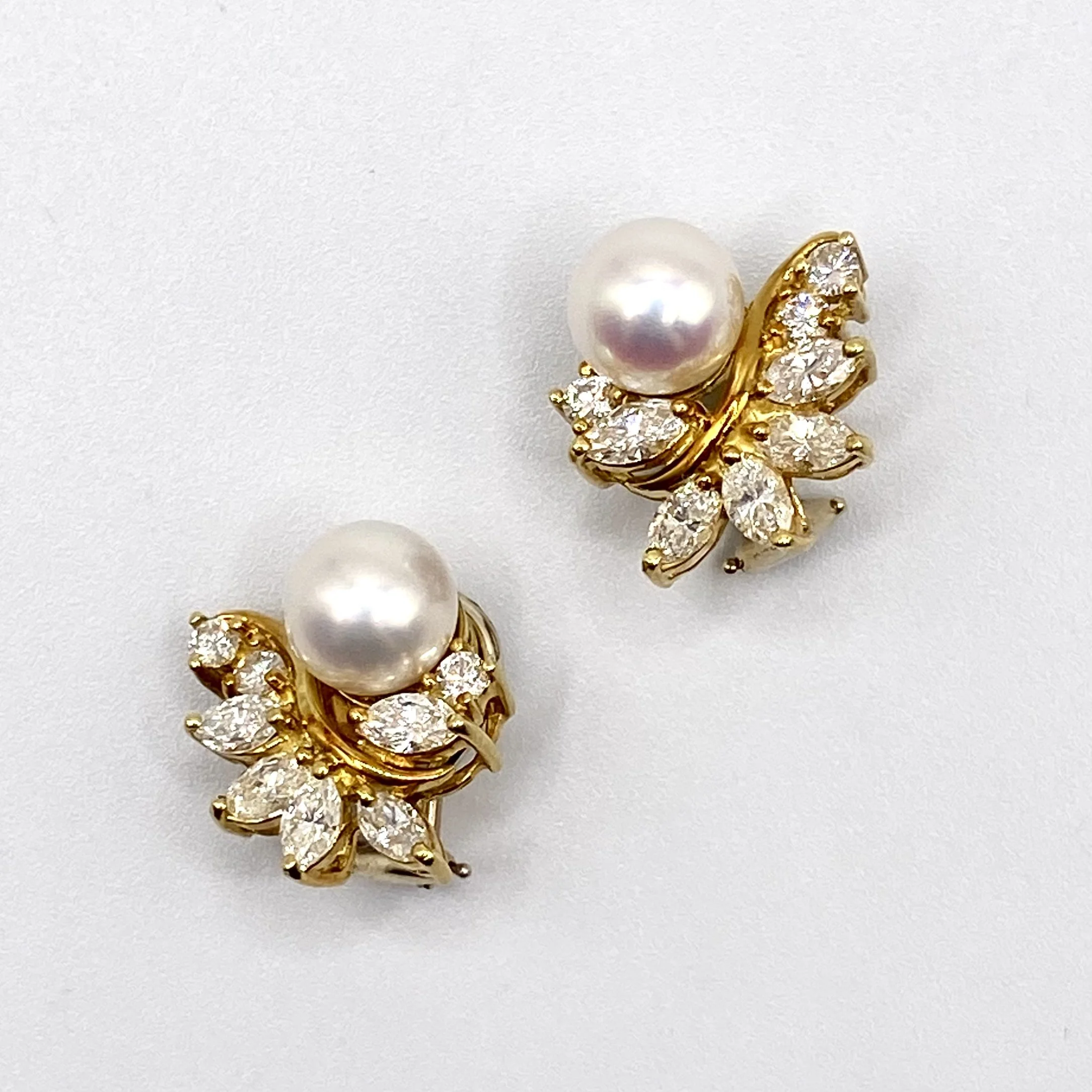 Photo Mar 31 2026, 4 21 57 PM.jpg