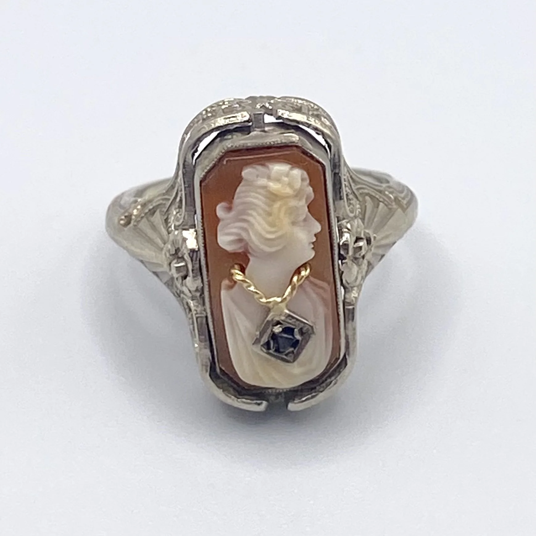 Photo Feb 18 2026, 1 28 25 PM.jpg