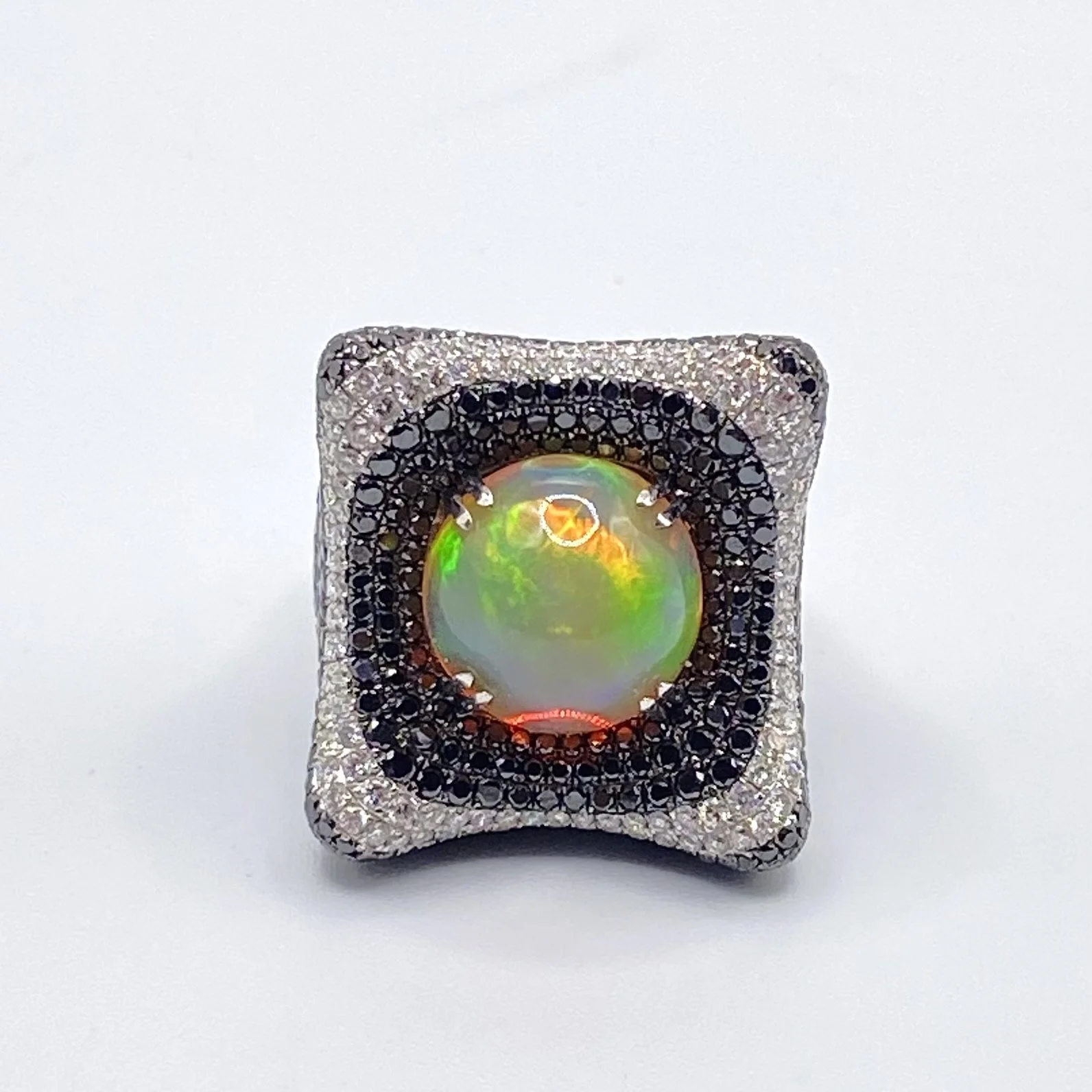 Photo Feb 05 2026, 12 59 06 PM.jpg