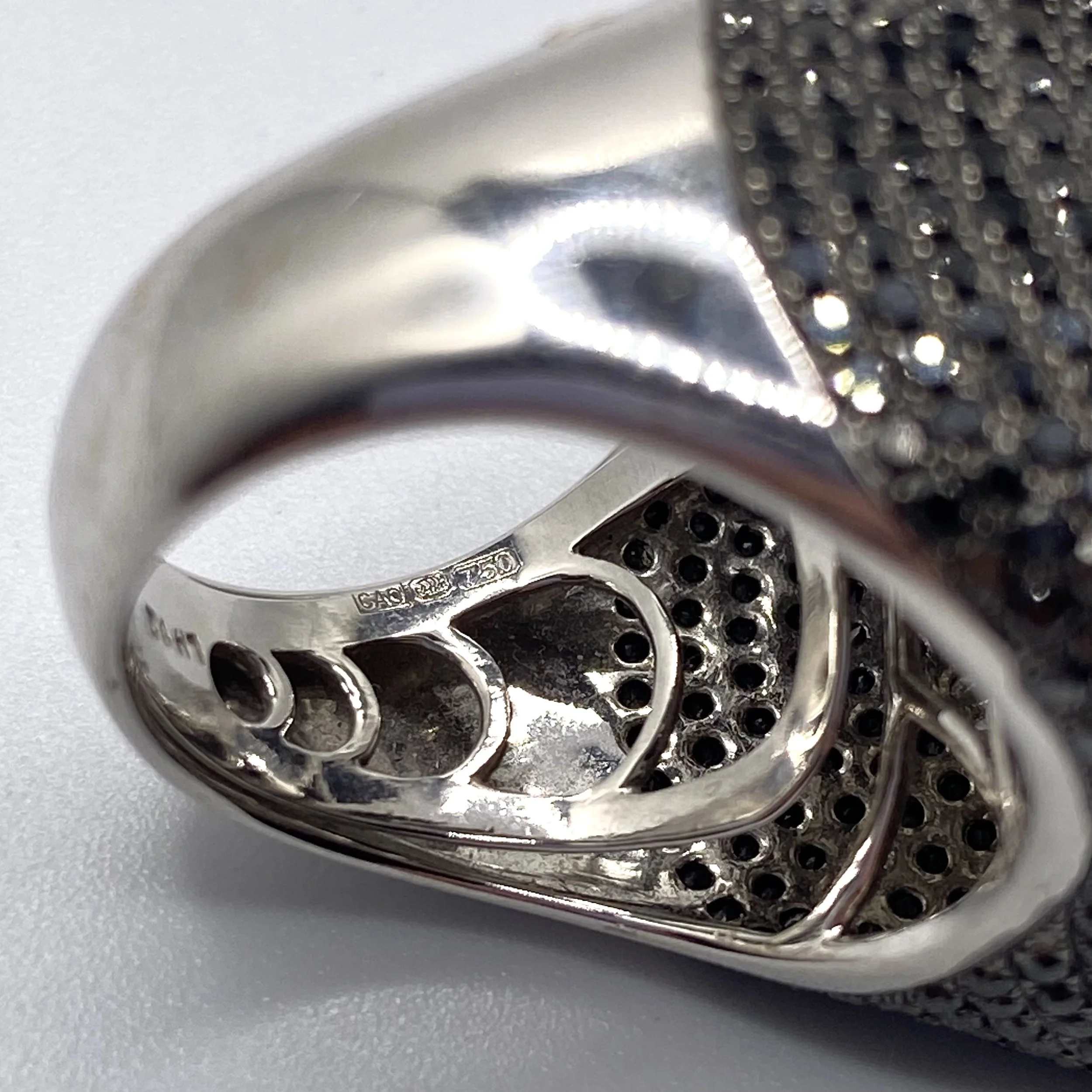 Photo Feb 05 2026, 12 59 55 PM.jpg