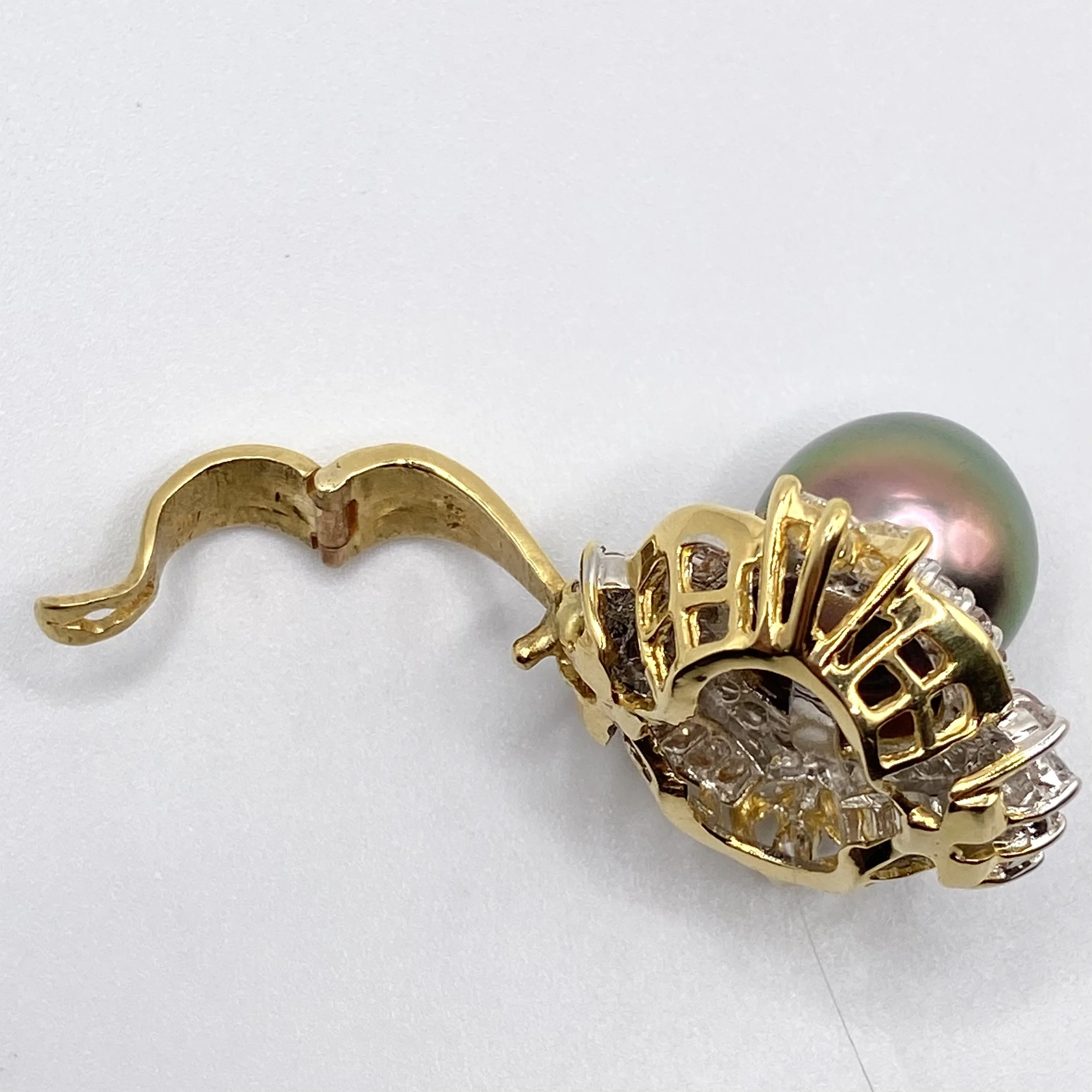 Photo Feb 05 2026, 1 11 34 PM.jpg