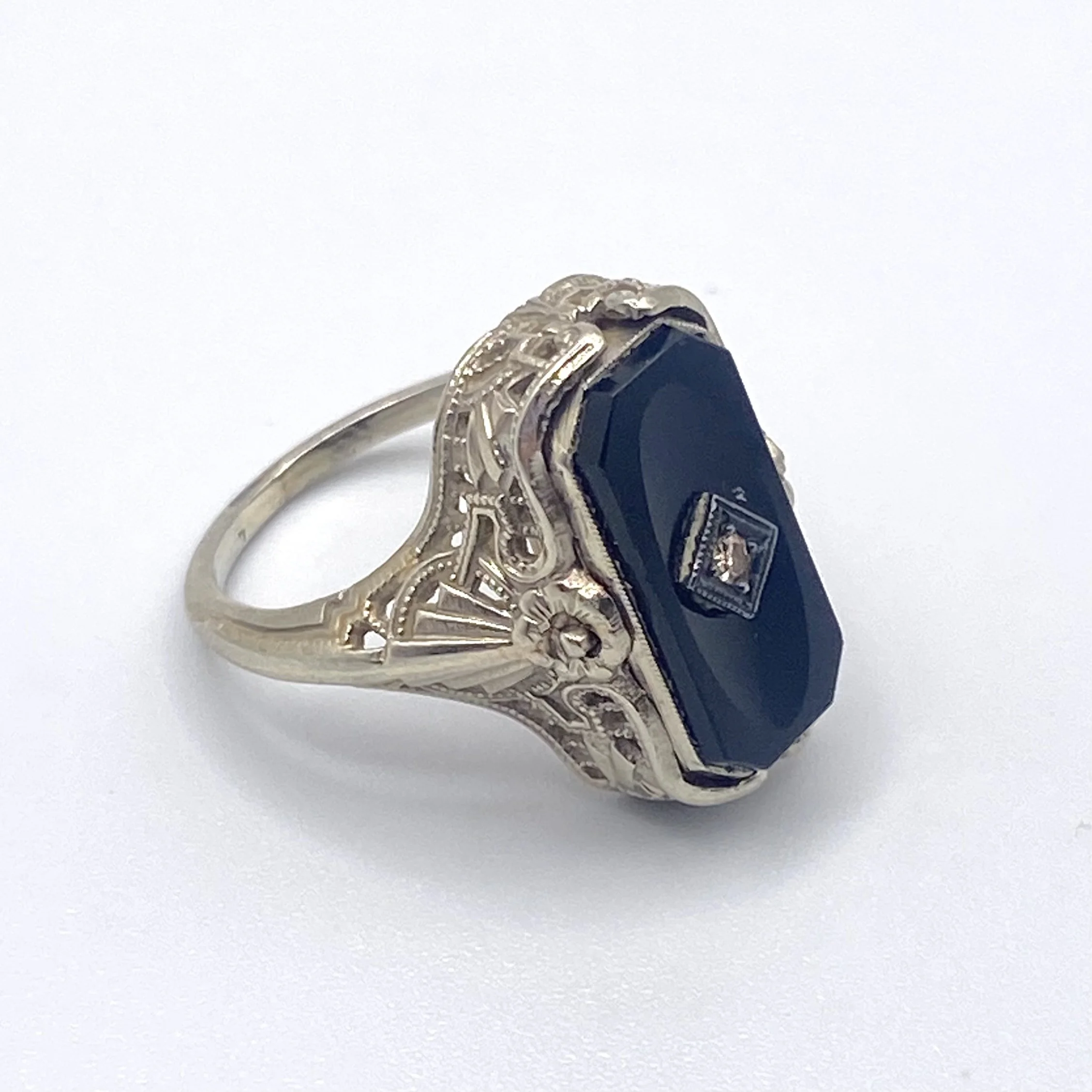 Photo Feb 18 2026, 1 29 44 PM.jpg