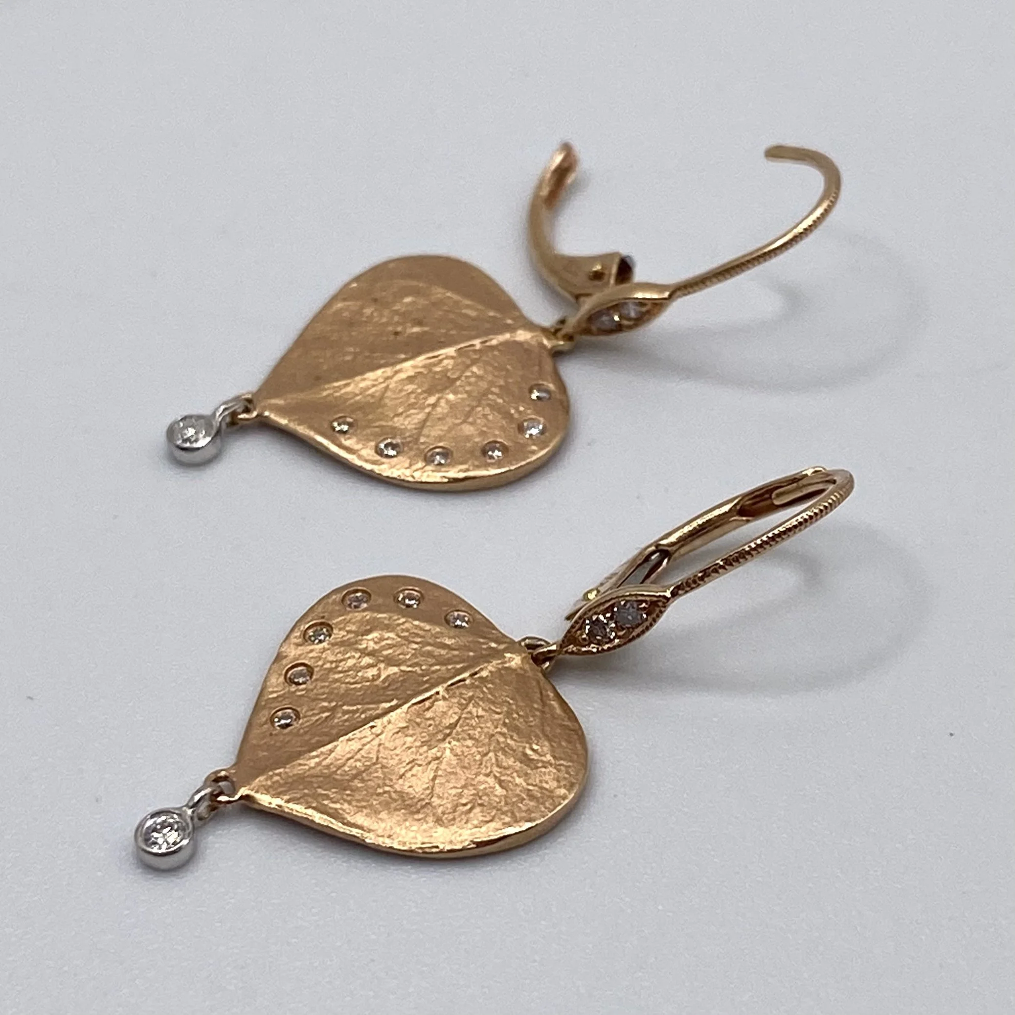 Photo Feb 05 2026, 1 16 31 PM.jpg