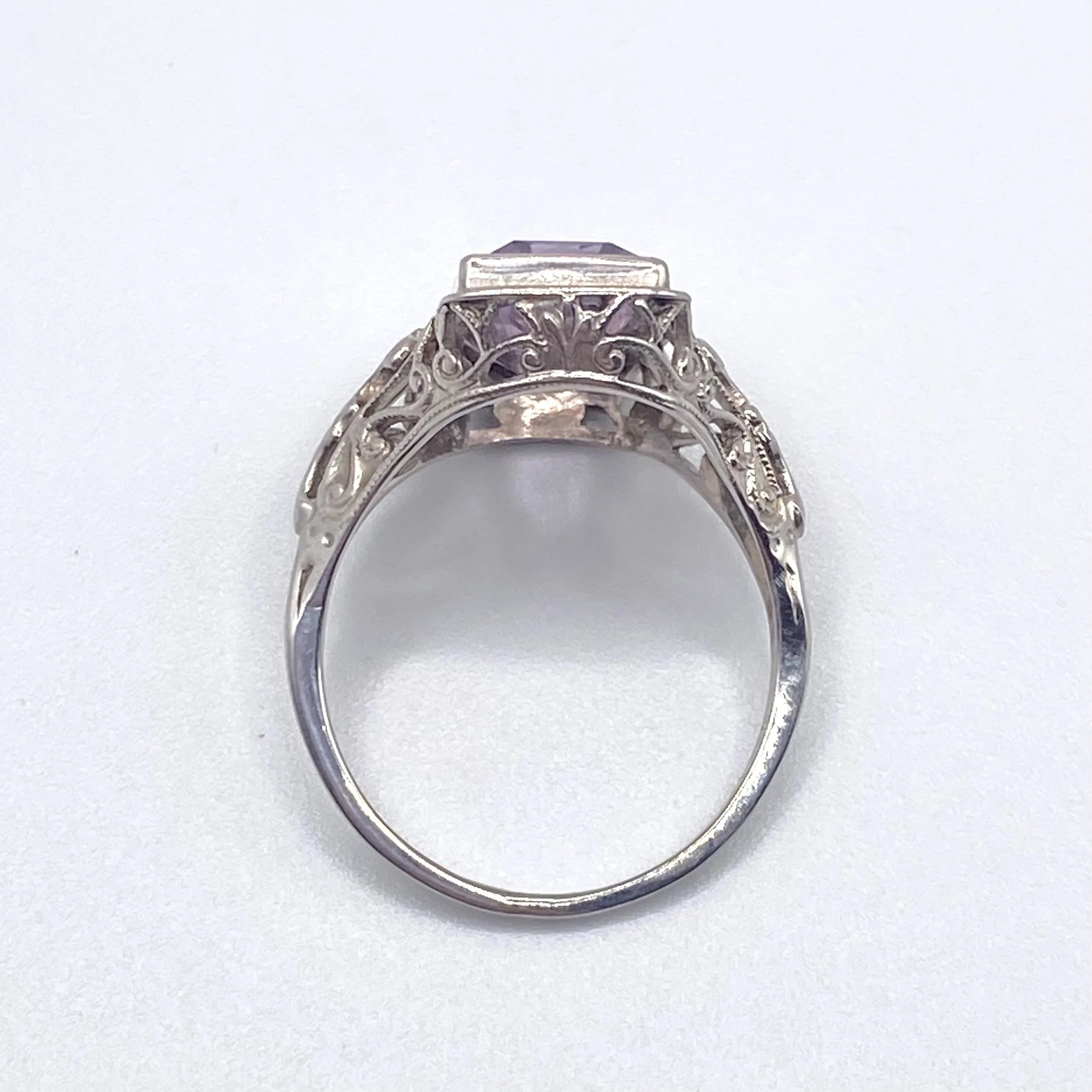 Photo Feb 18 2026, 1 15 43 PM.jpg