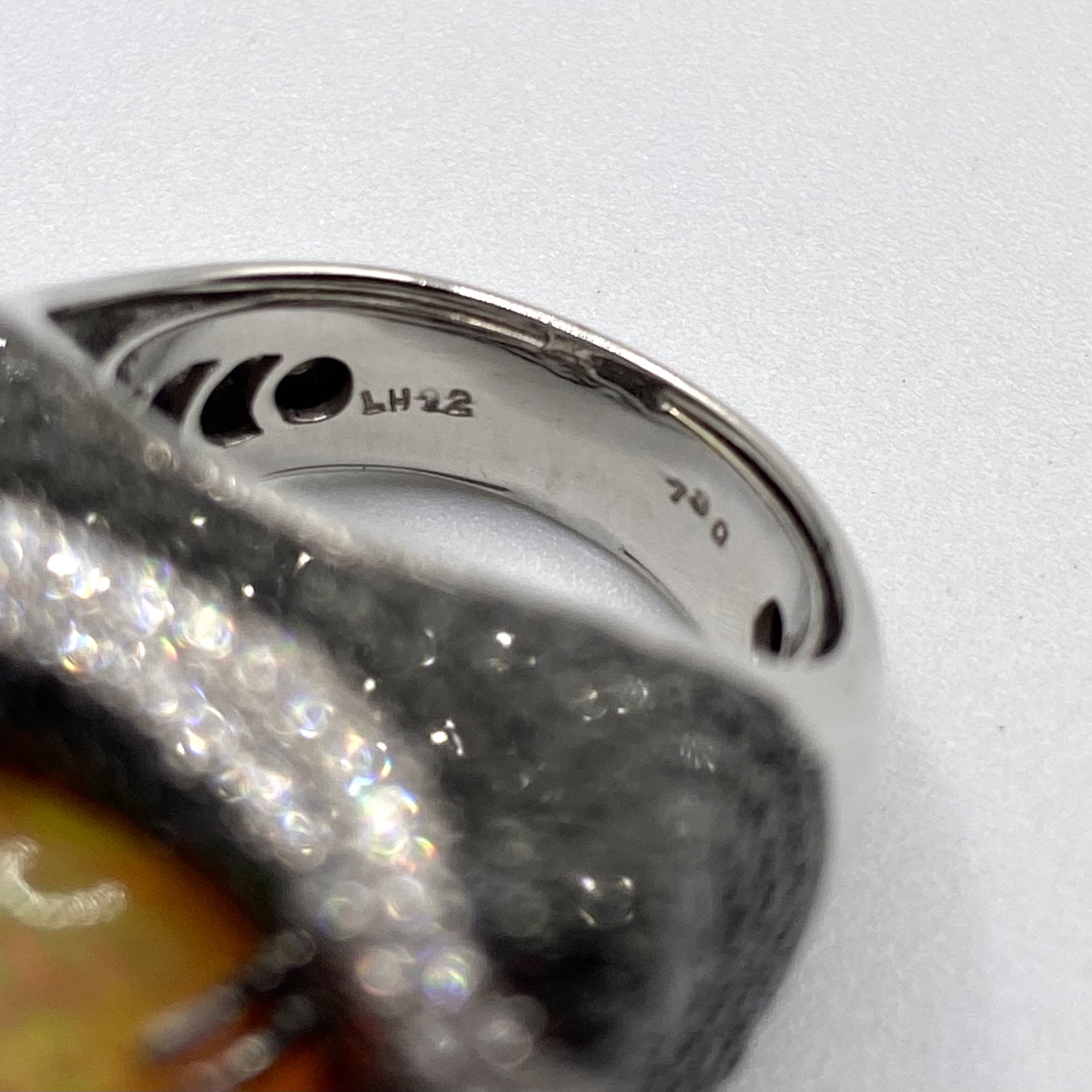 Photo Feb 05 2026, 1 00 16 PM.jpg