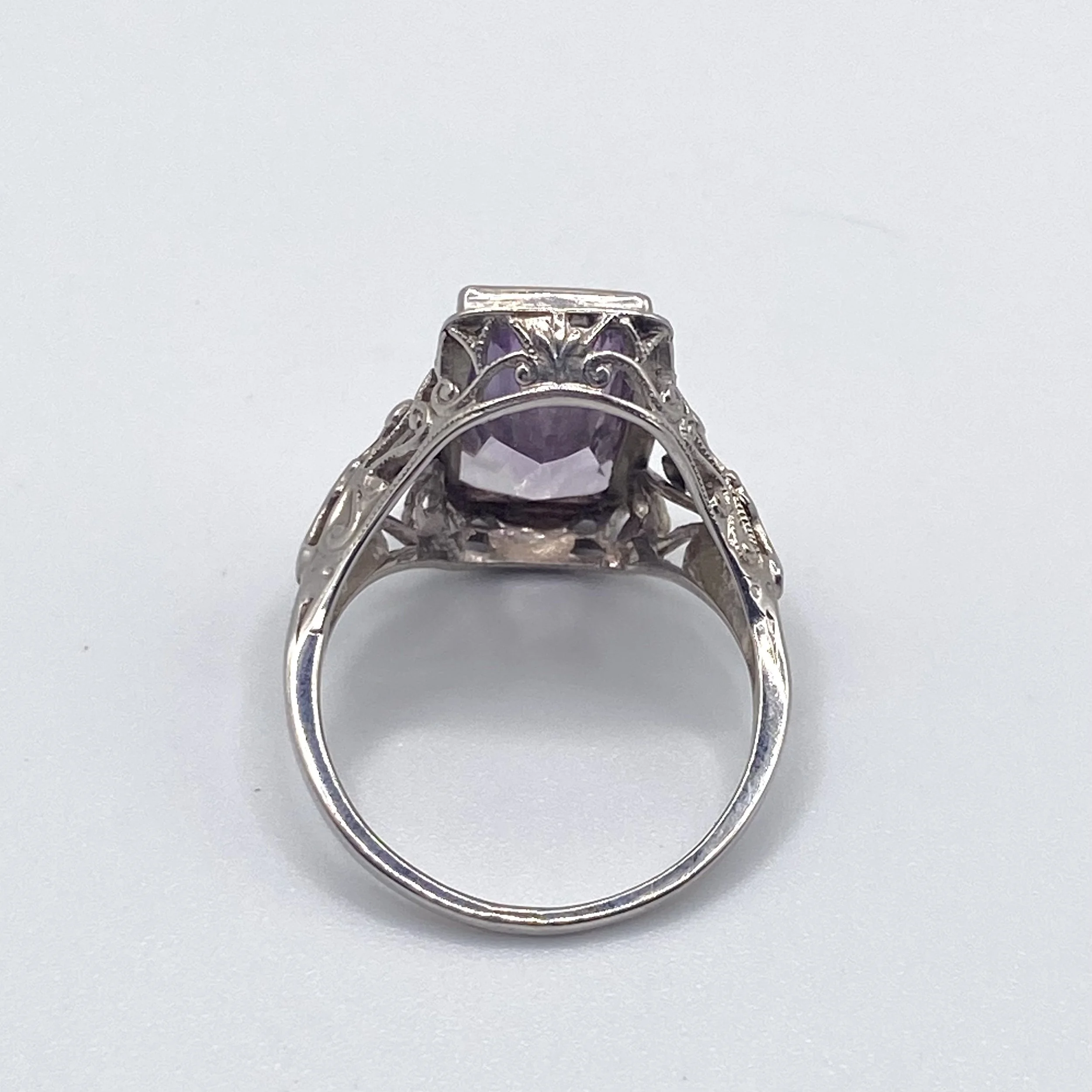 Photo Feb 18 2026, 1 15 31 PM.jpg