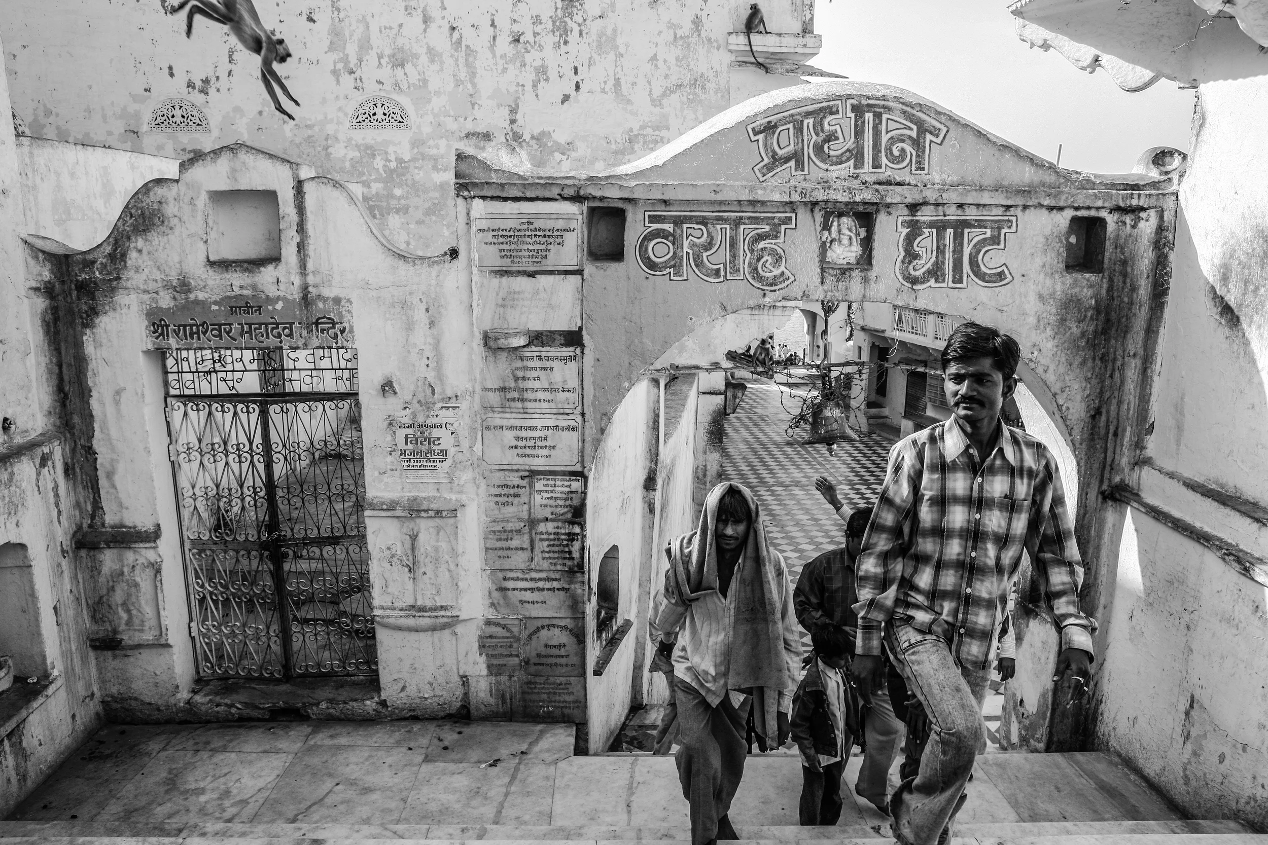 Men and Monkeys, Pushkar