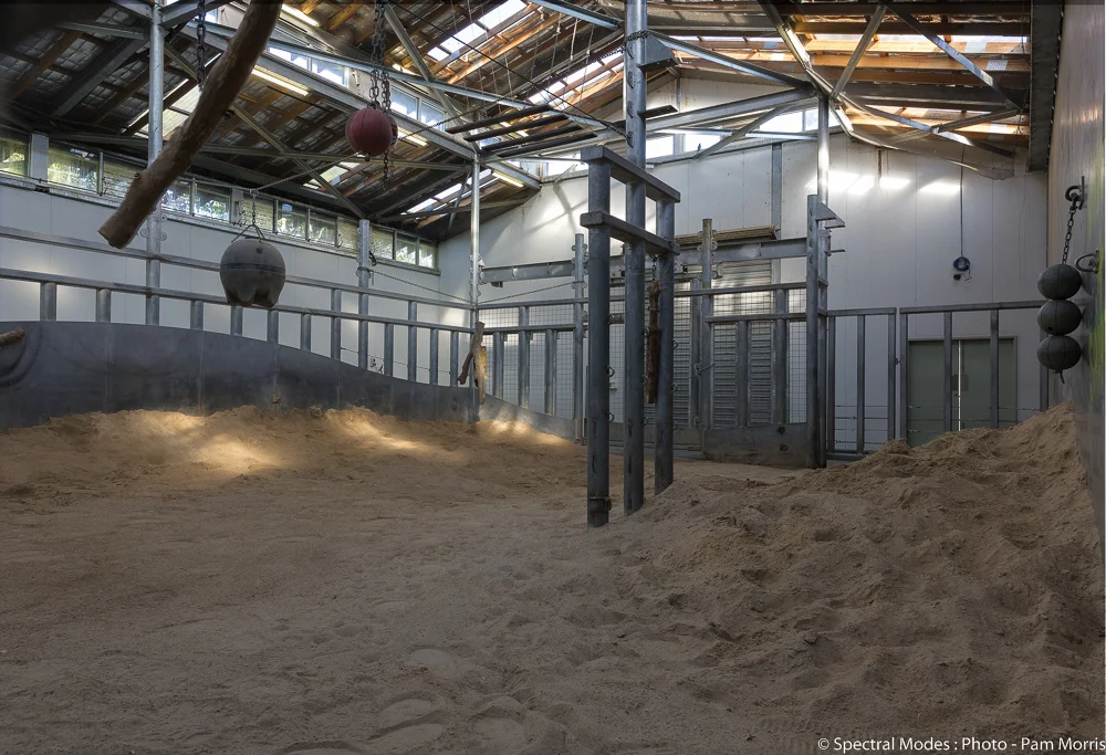 Melbourne Zoo Elephant Enclosure Client: Zoos Victoria Est. Project Budget: $10,000,000 Elephant enclosure and associated structures and civil works