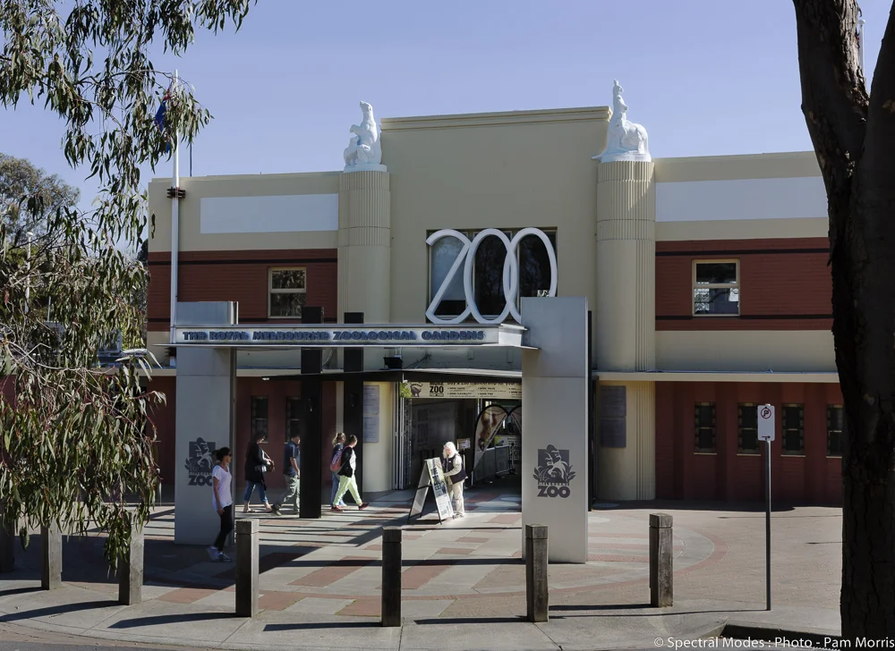 Melbourne Zoo Elephant Enclosure Client: Zoos Victoria Est. Project Budget: $10,000,000 Elephant enclosure and associated structures and civil works