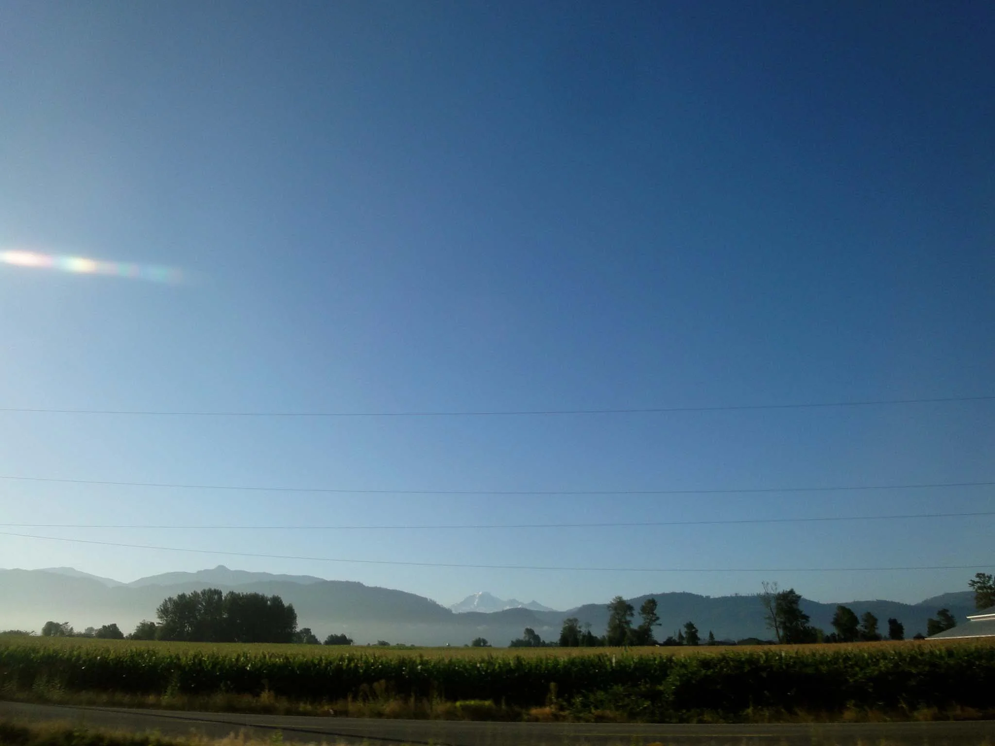 DSC05132.jpg