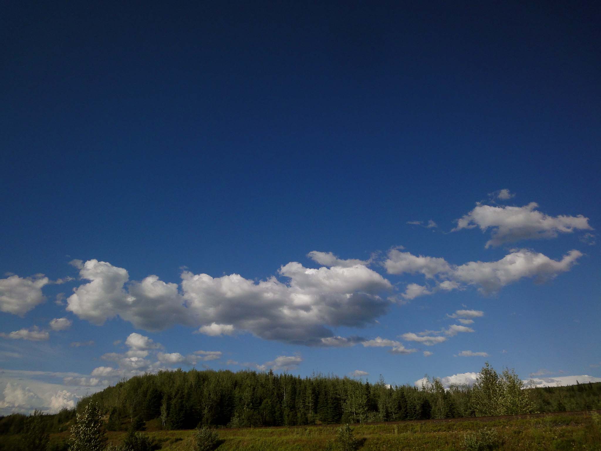 DSC05144.jpg