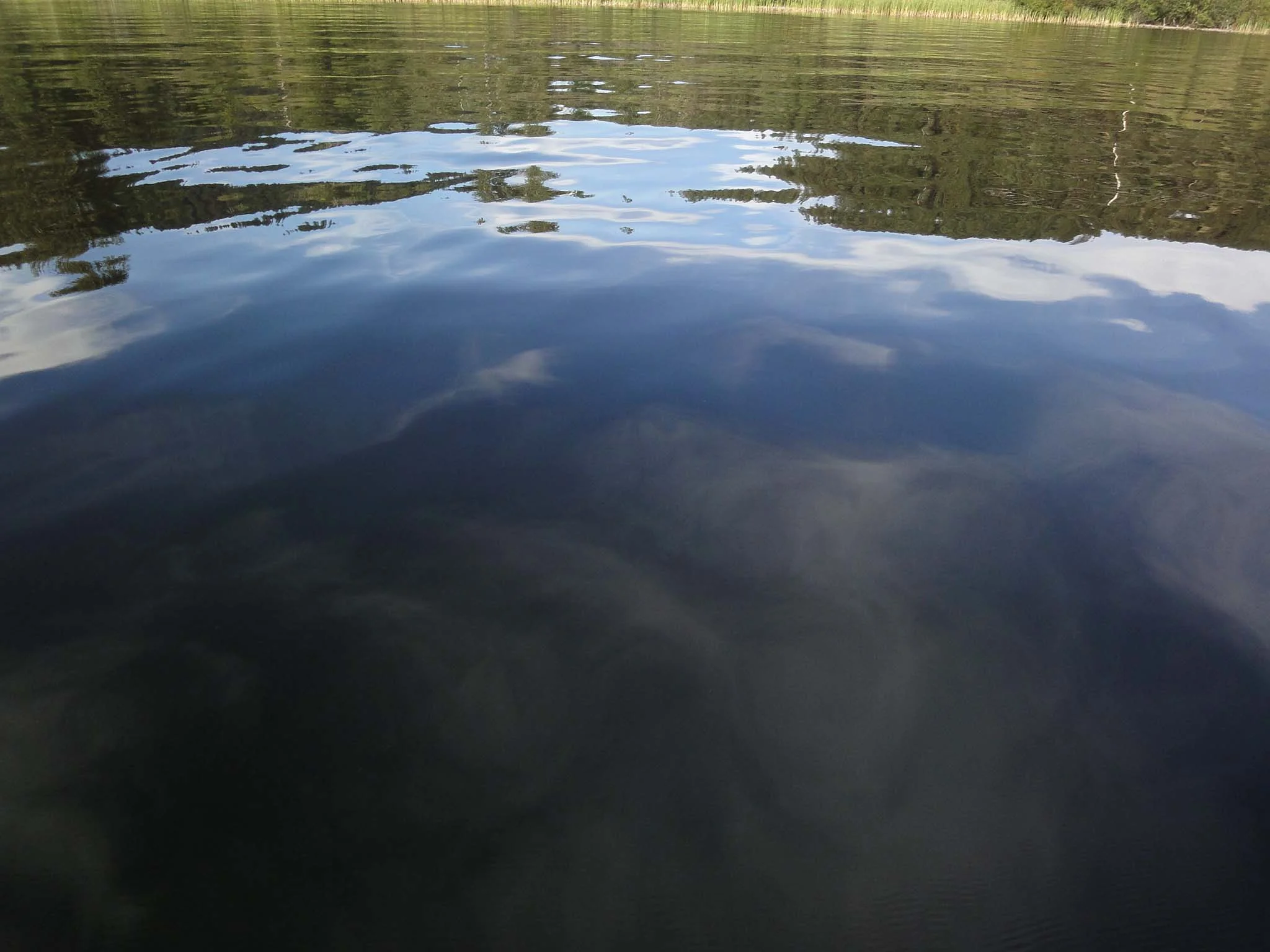 DSC05211.jpg
