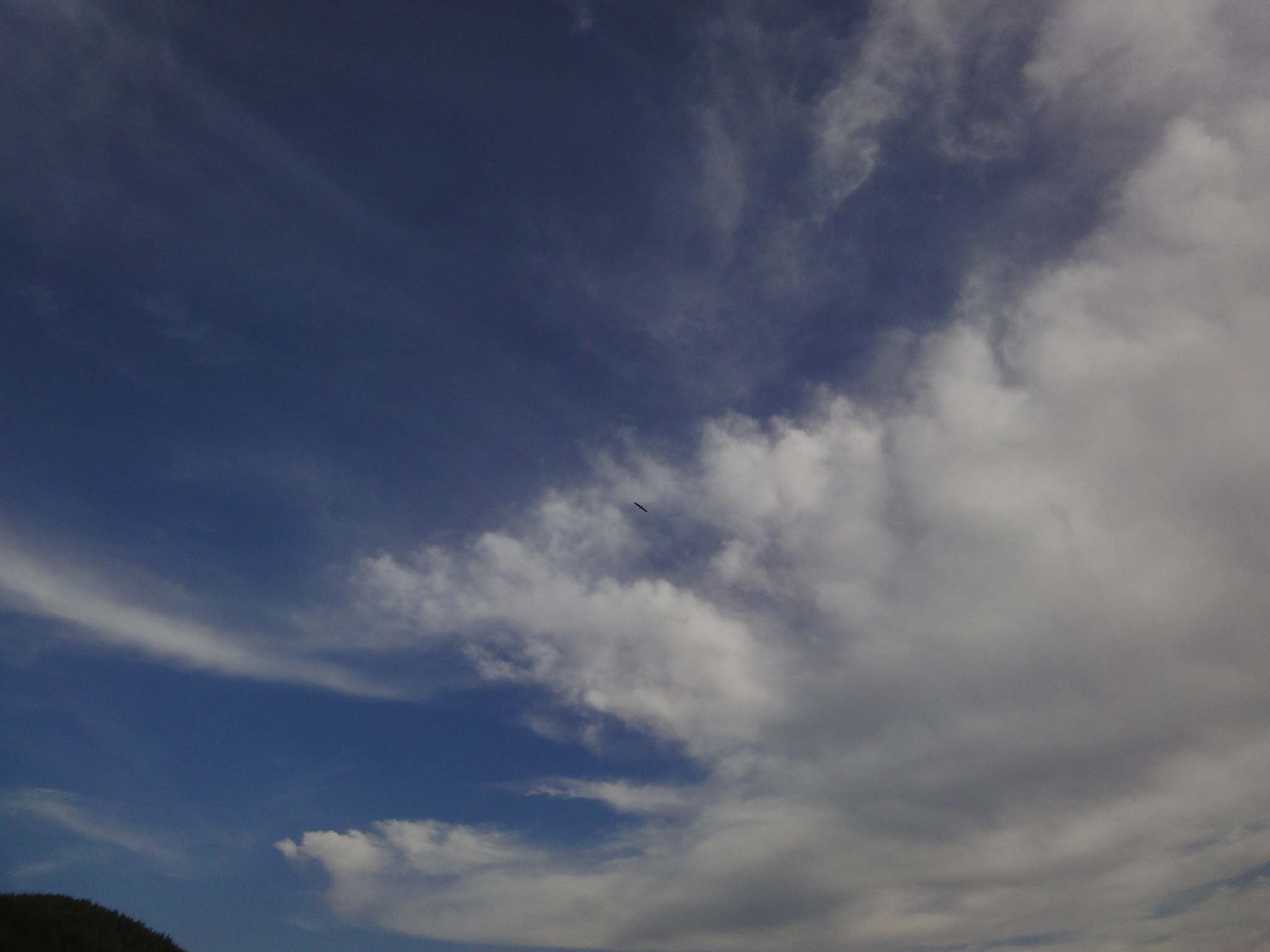 DSC05214.jpg