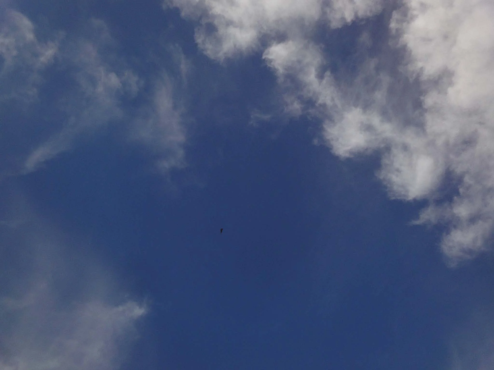 DSC05216.jpg