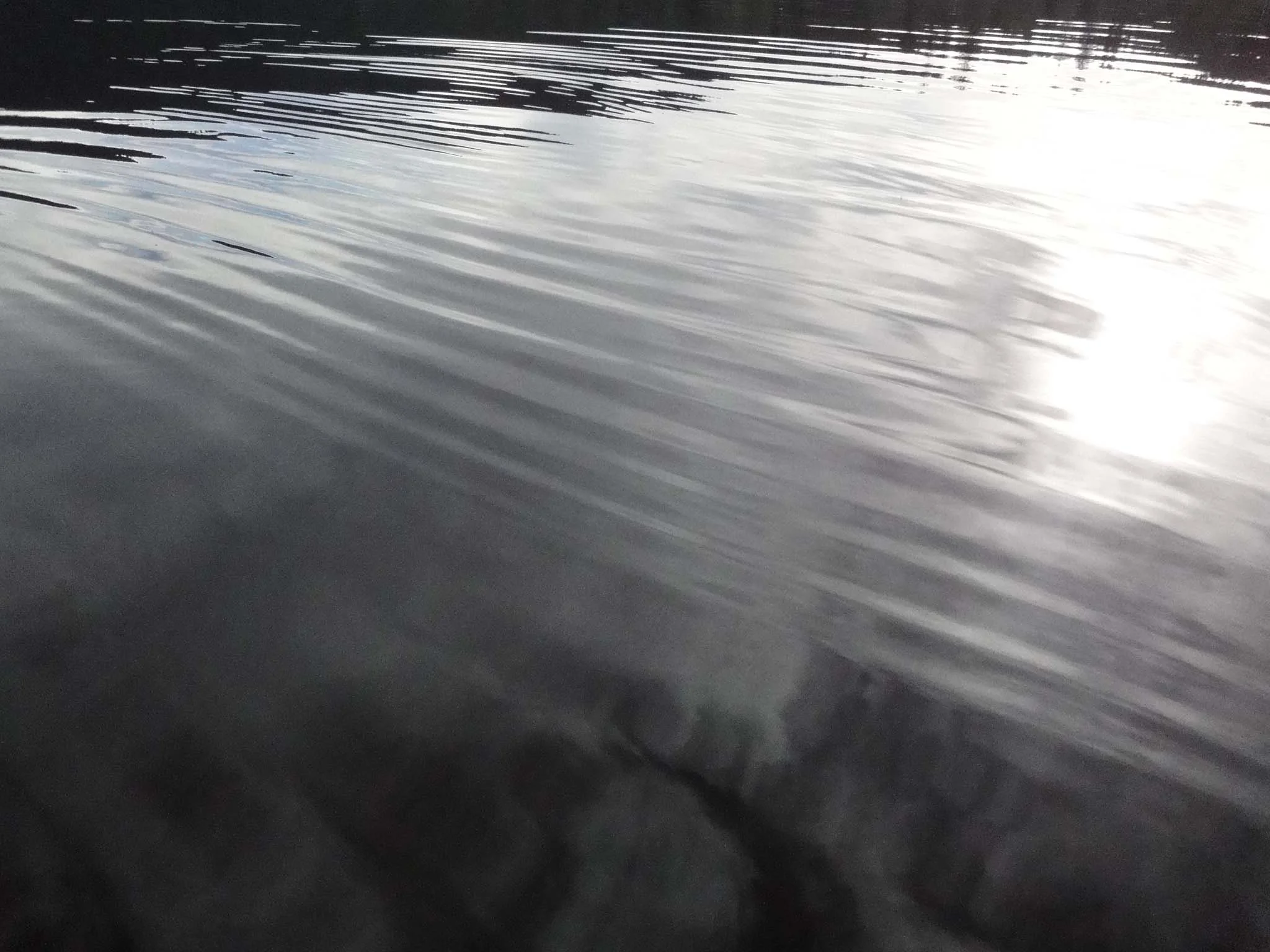 DSC05226.jpg