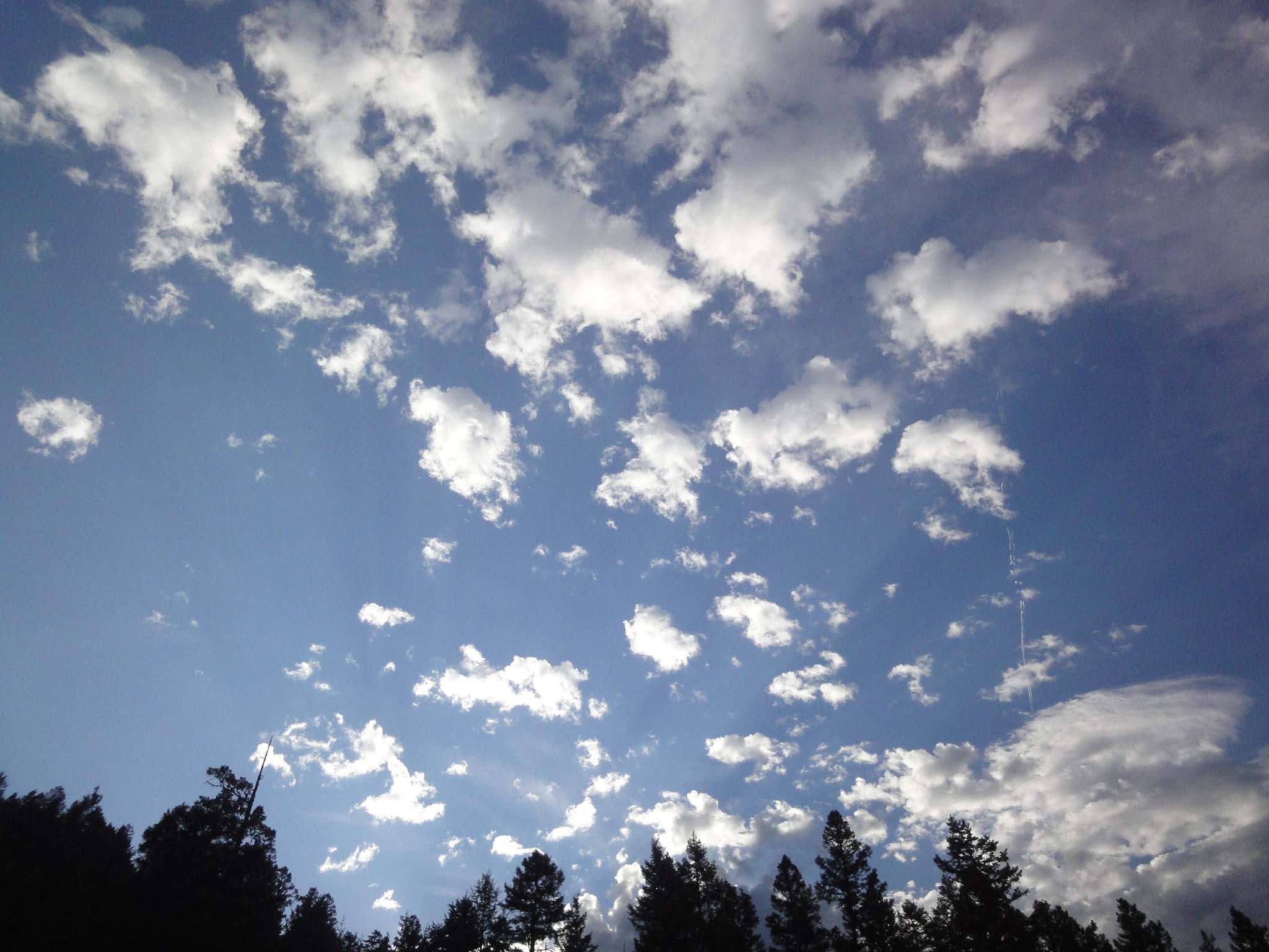 DSC05256.jpg