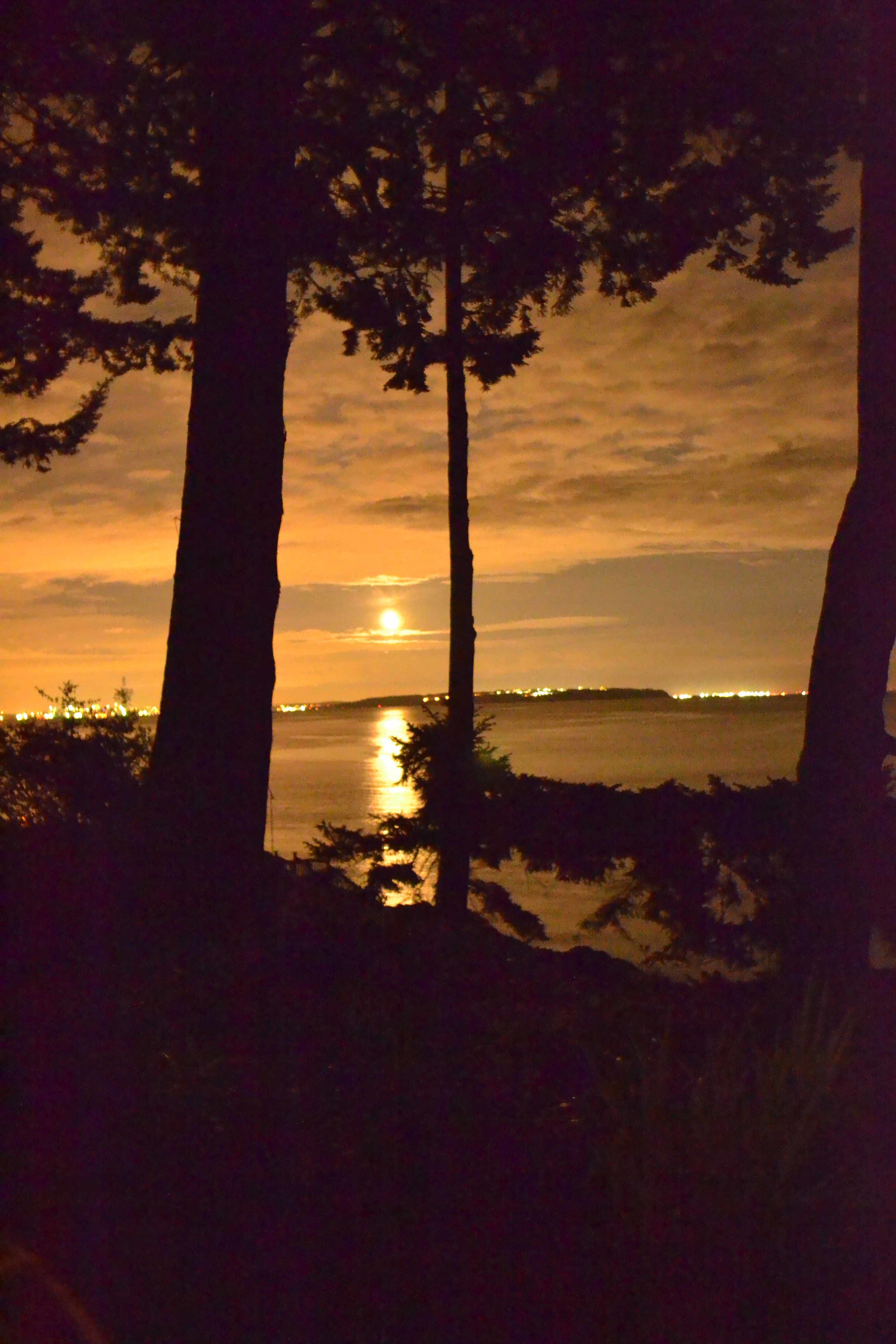 DSC_0317.jpg