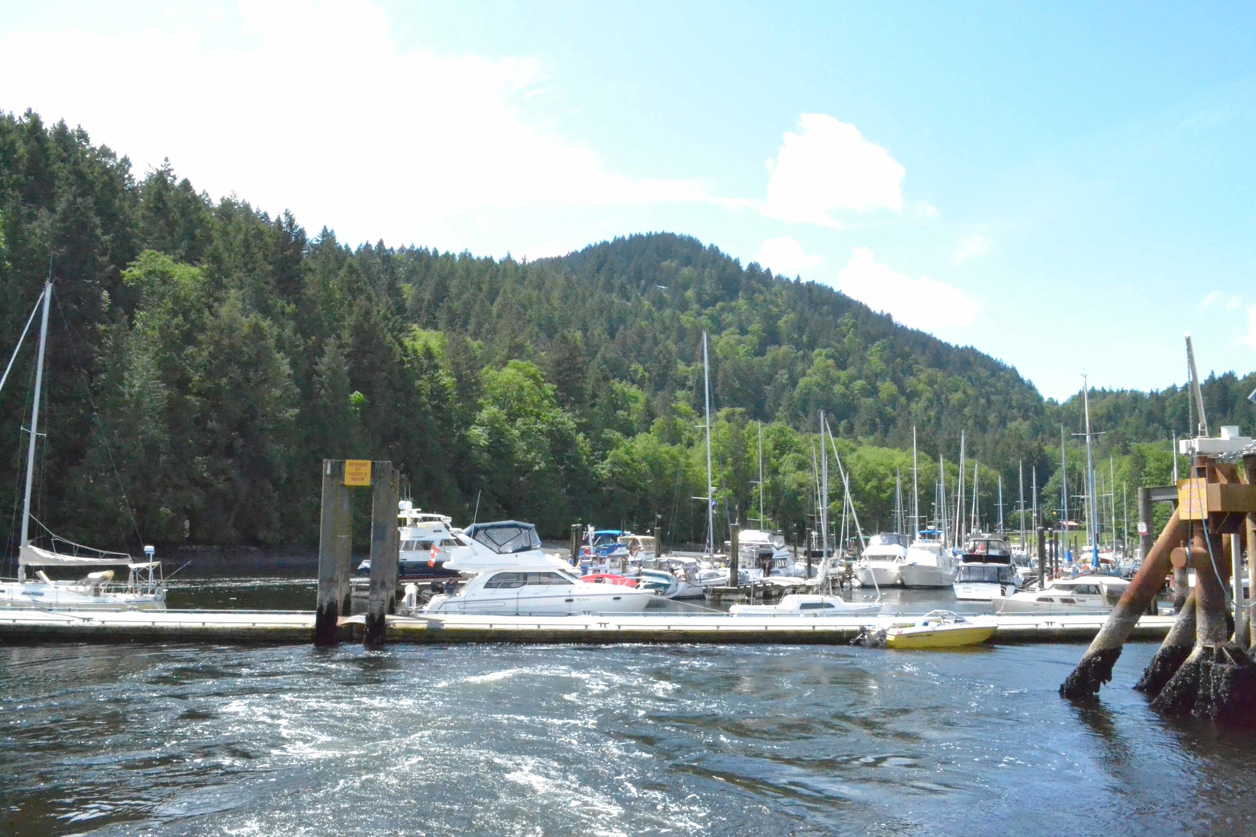 DSC_0321.jpg