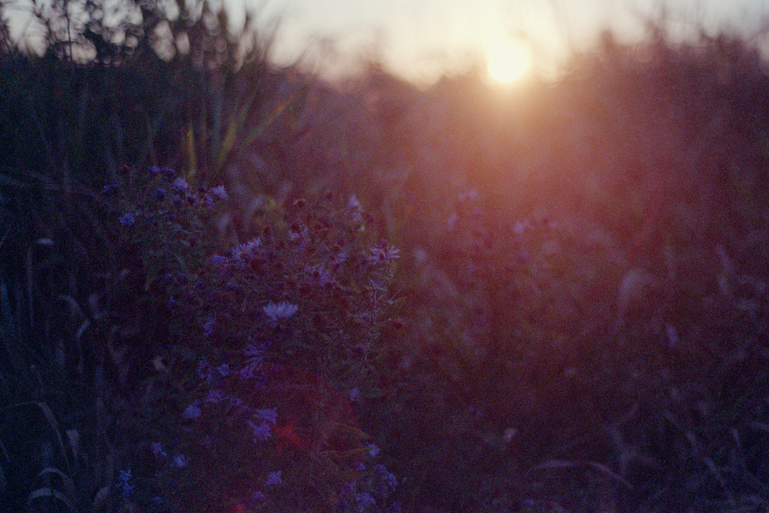  Pennellville, New York, 2011 (35mm) 