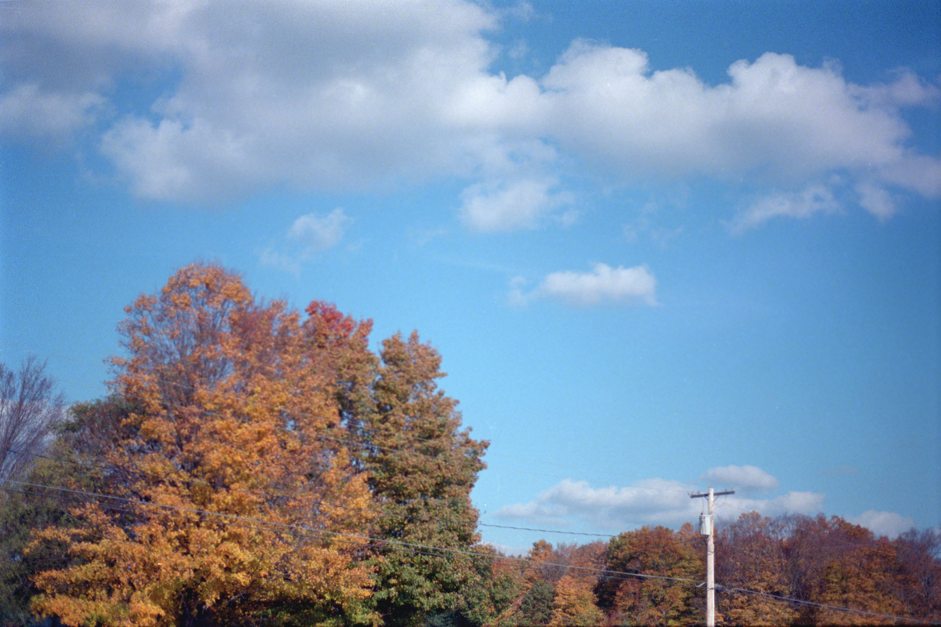  Pennellville, New York, 2011 