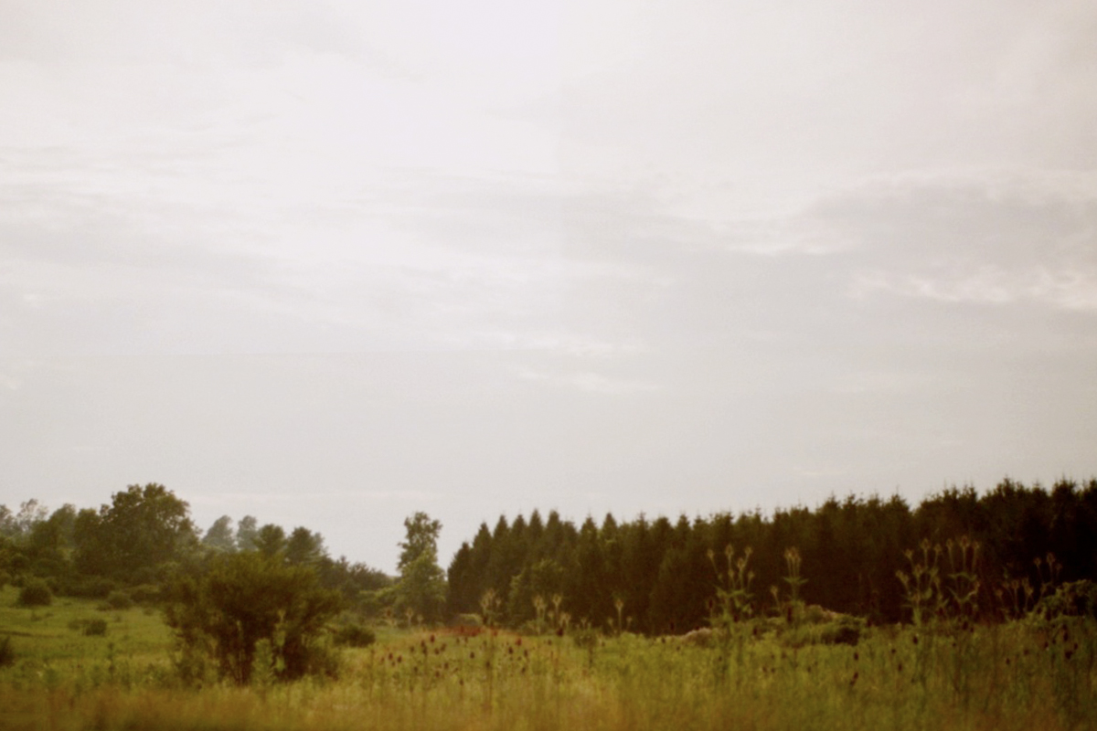  Green Lakes, New York, 2009 (35mm) 