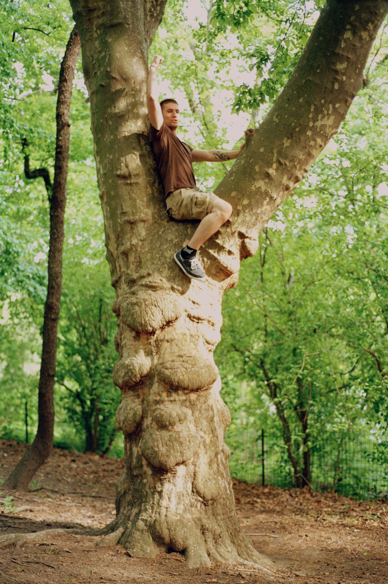  Central Park, New York, 2013 (35mm) 