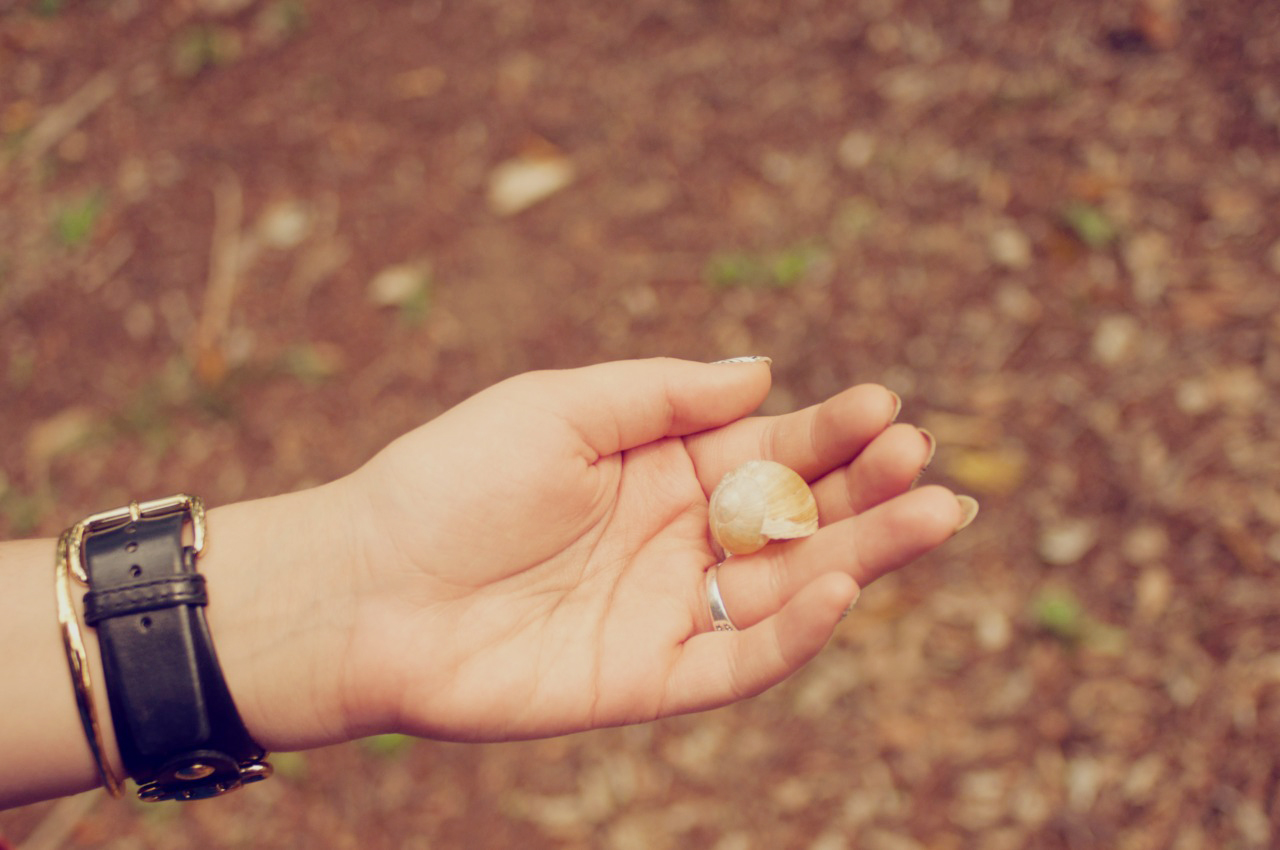 kelly with a tiny shell