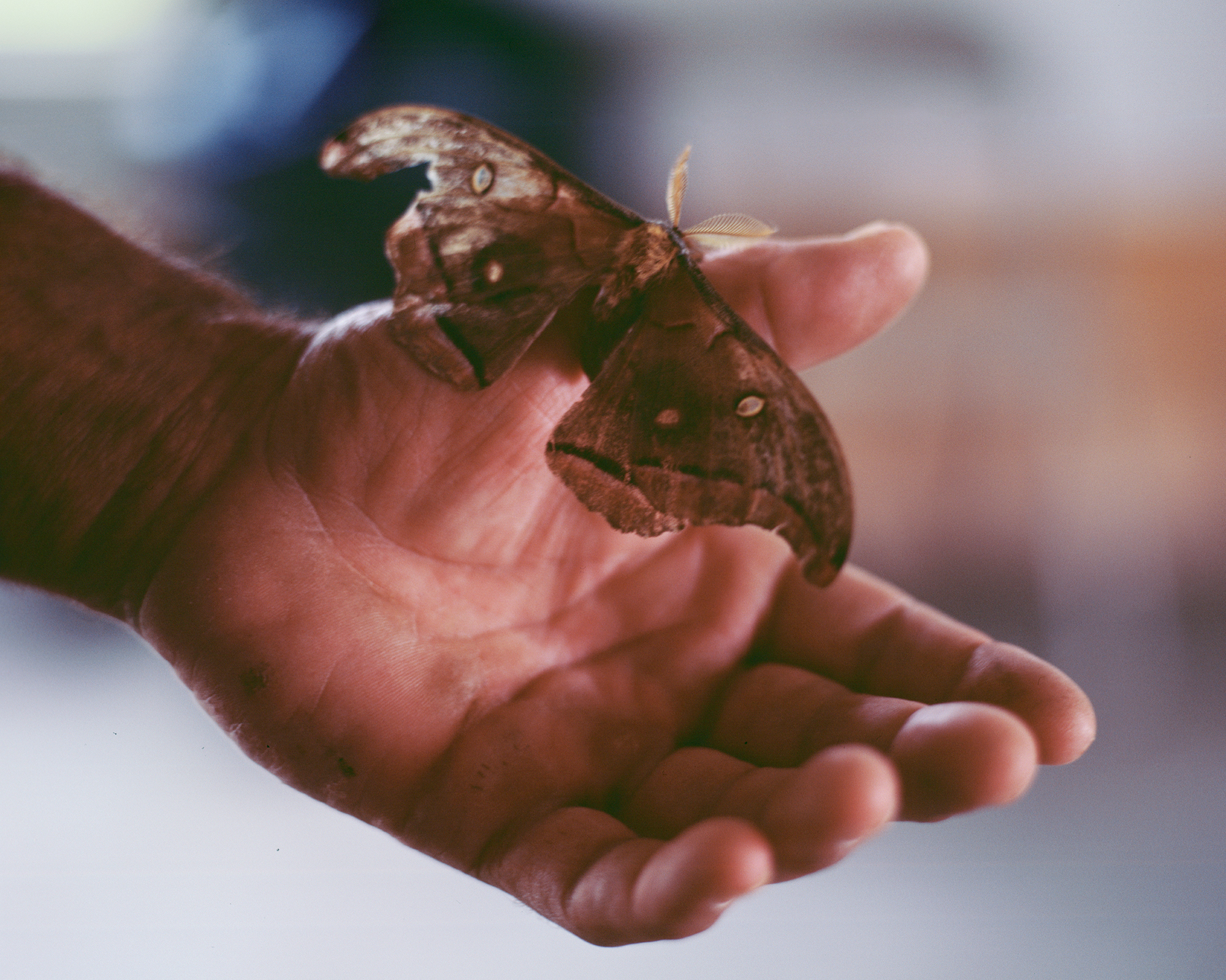 Kevin with a Moth