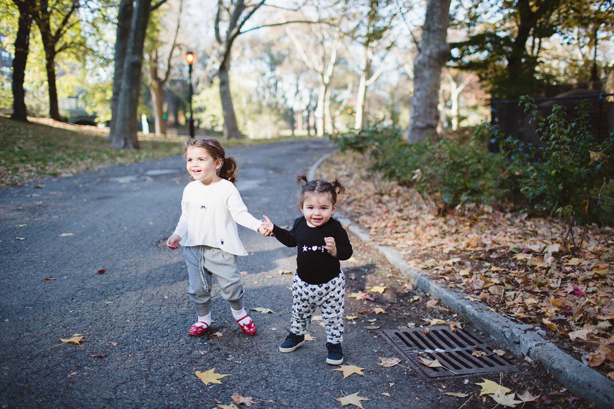 Central Park, New York, 2016