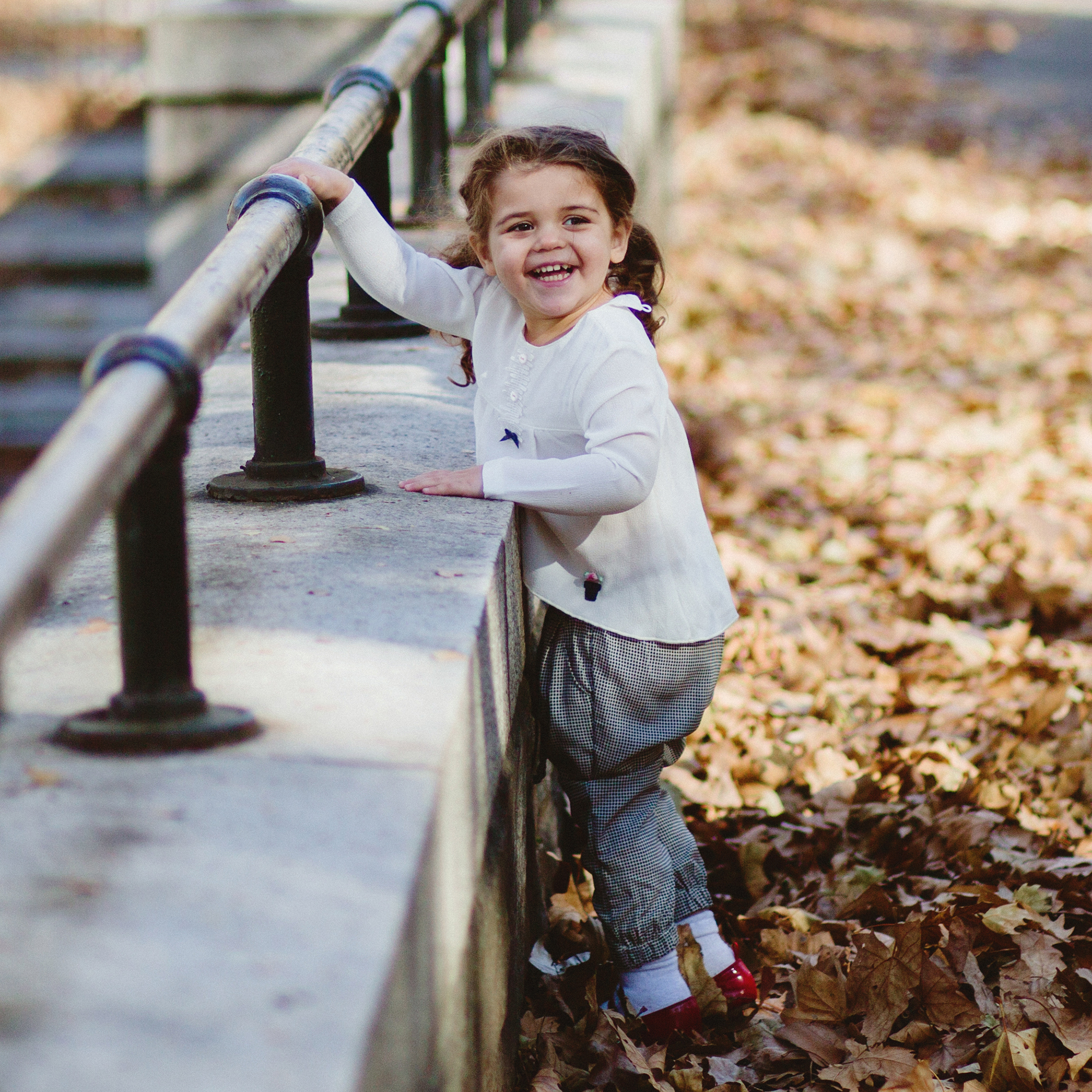 Central Park, New York, 2016