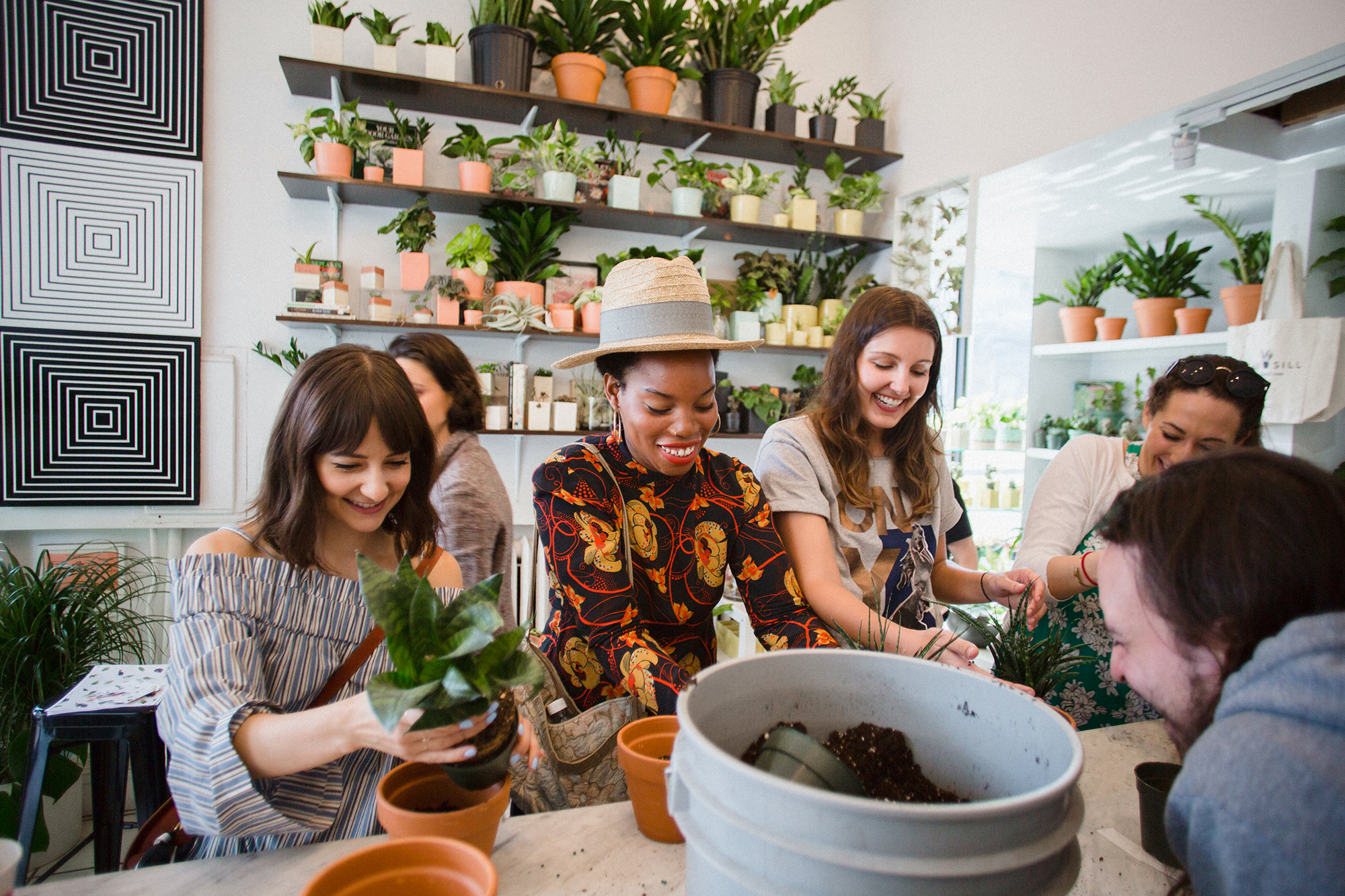 Planting with The Sill