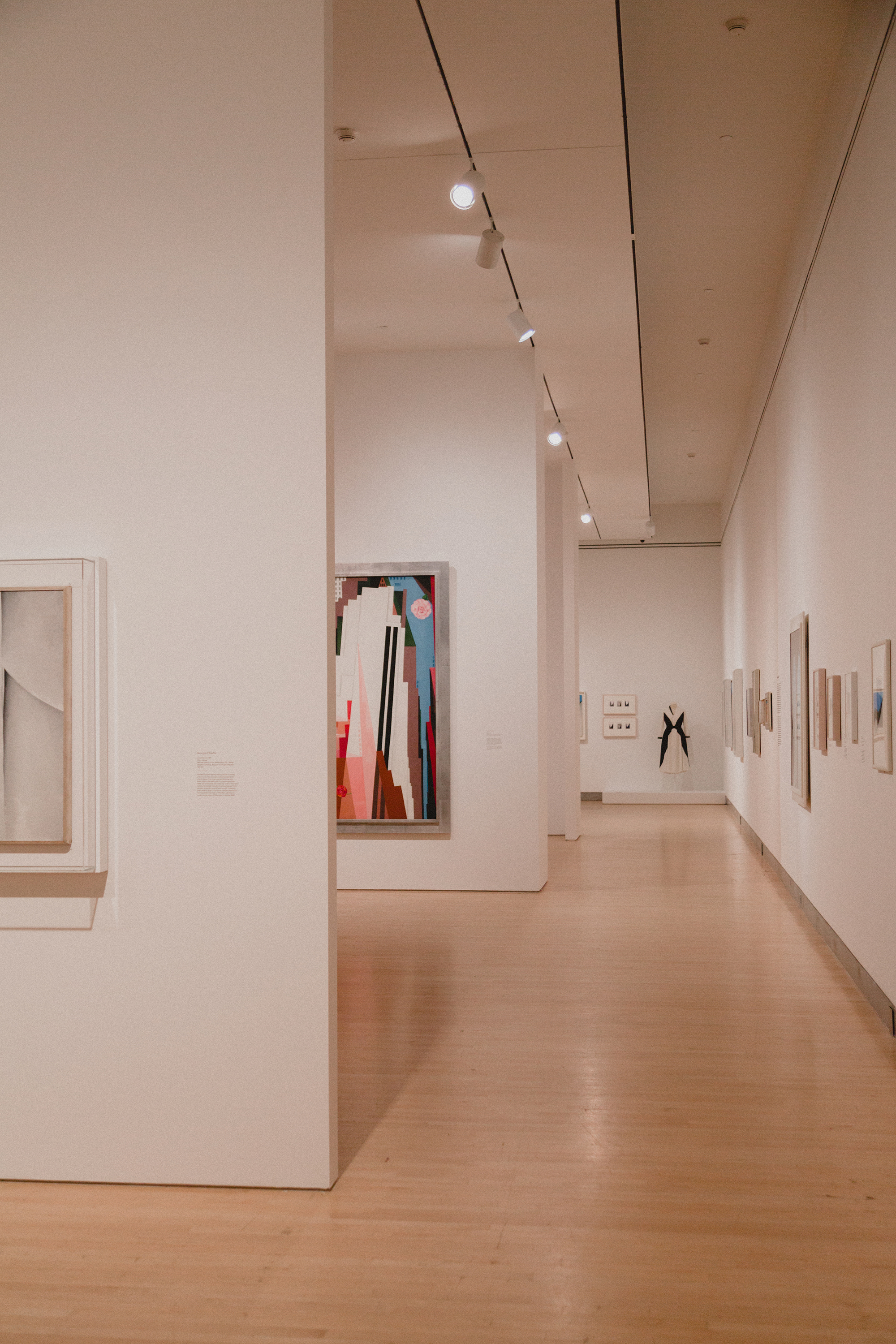 "Georgia O’Keefe: Living Modern" at the Brooklyn Museum