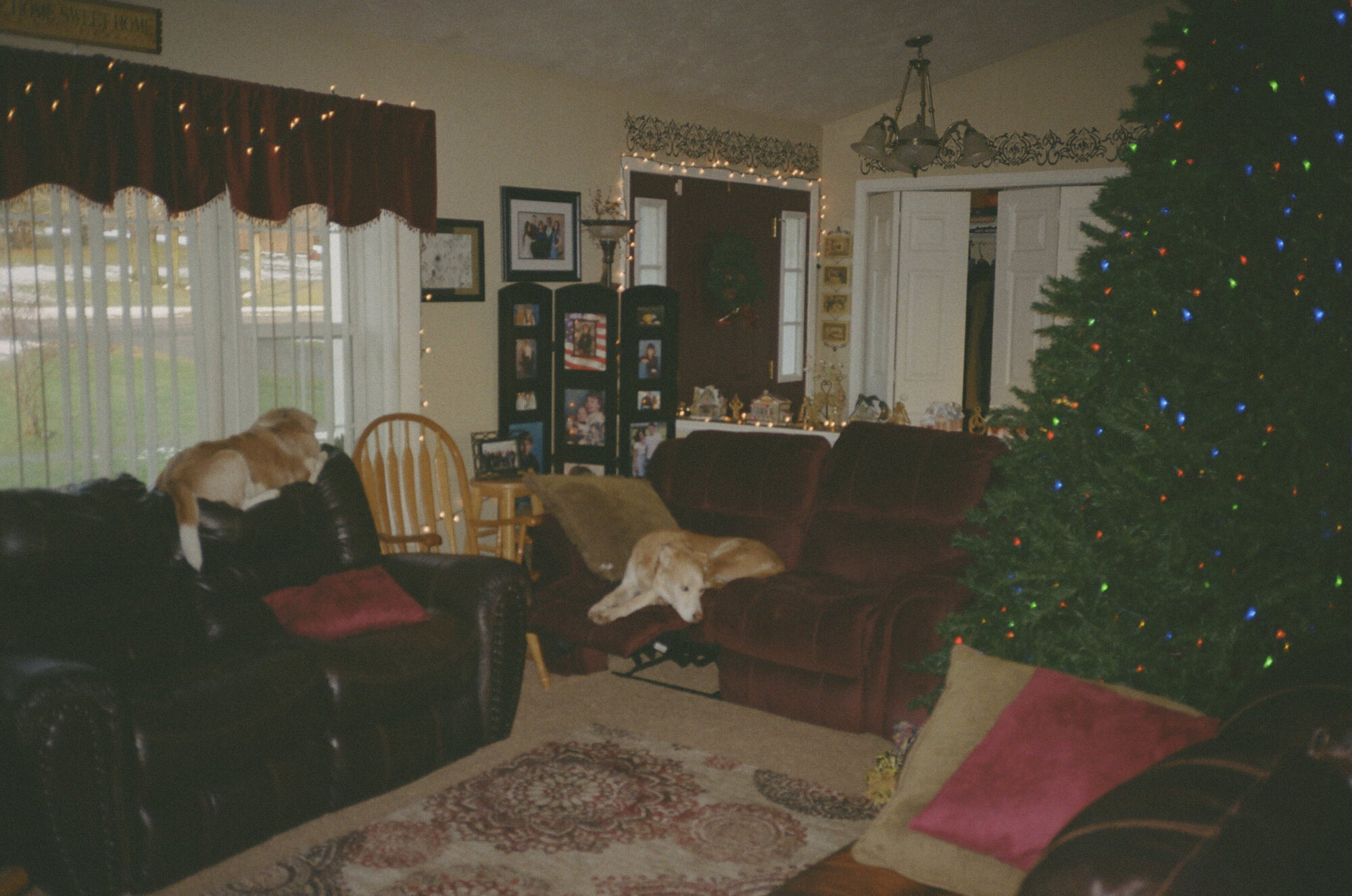 Charlie & Chloe in the Living Room