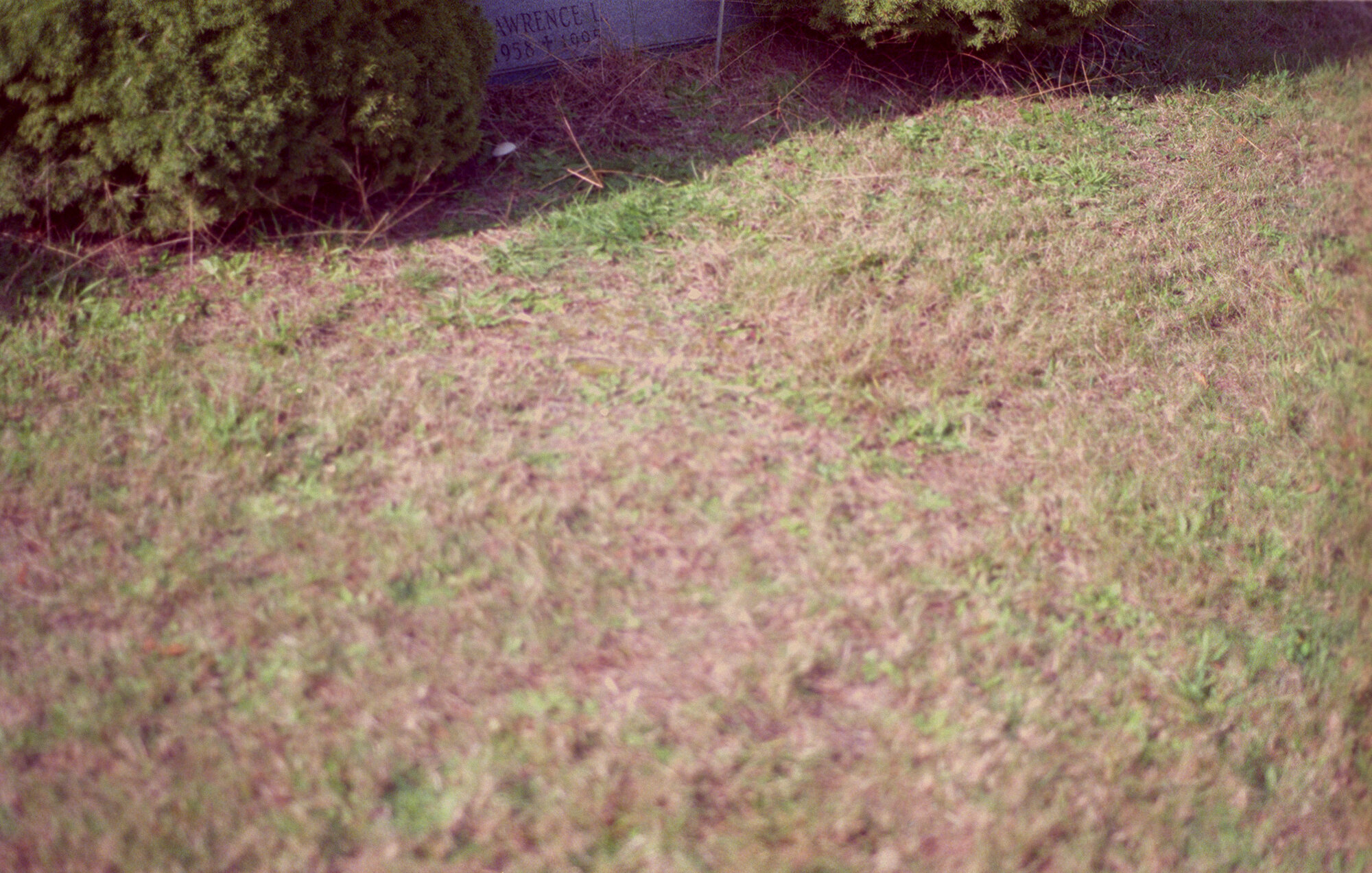 the empty plot next to my dad's grave