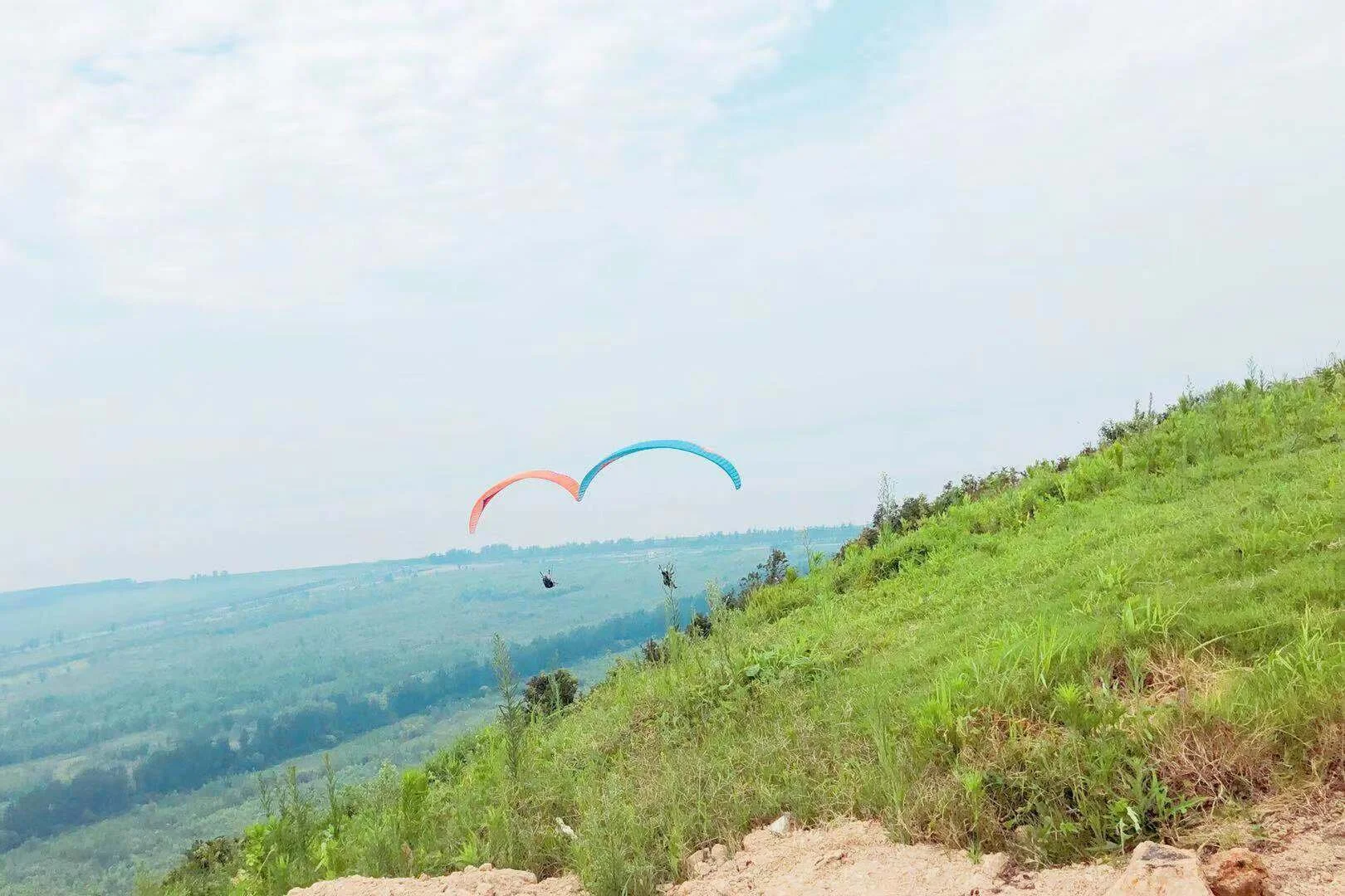 561602109.jpg