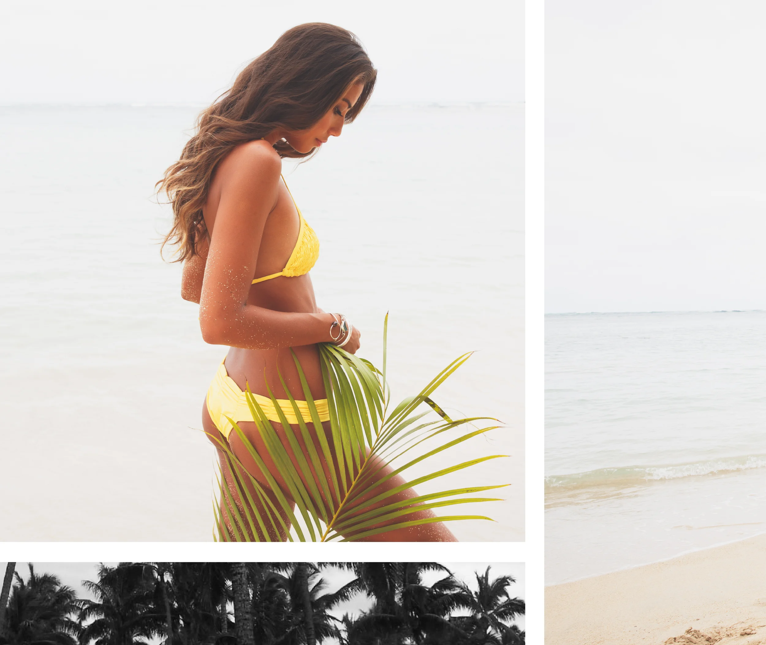 Chamacatalog15 singles10.jpg