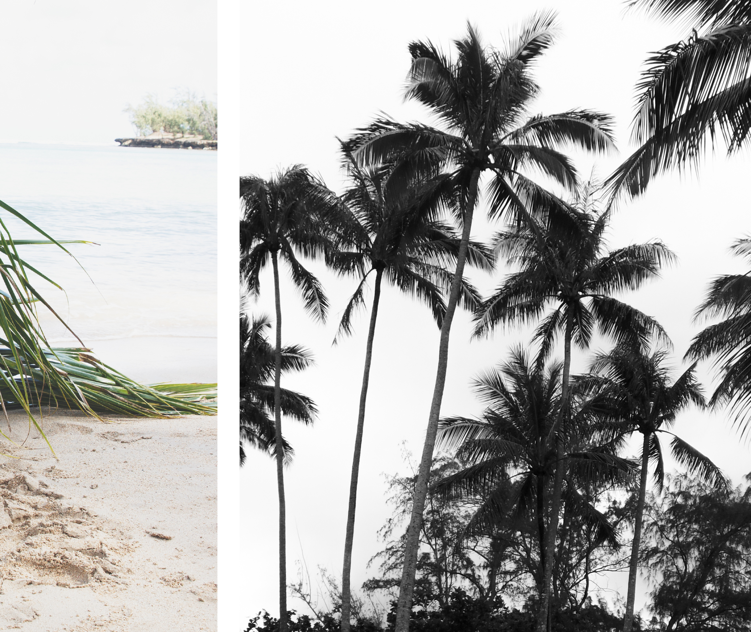 Chamacatalog15 singles23.jpg