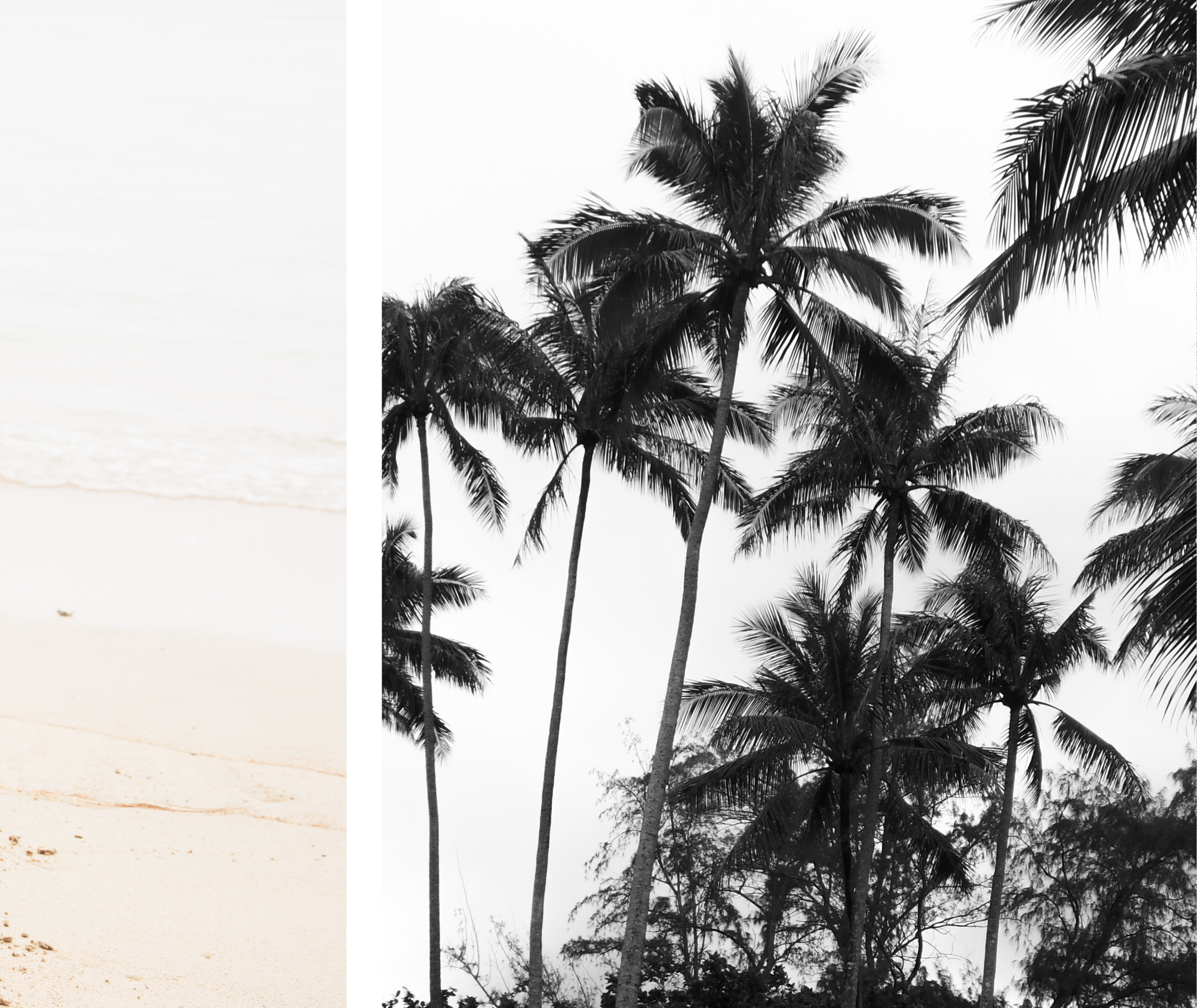 Chamacatalog15 singles15.jpg