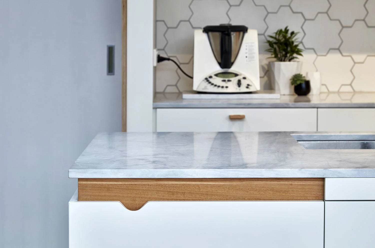 screen–house–camberwell–renovation–by-warc-studio-architects-37.jpg