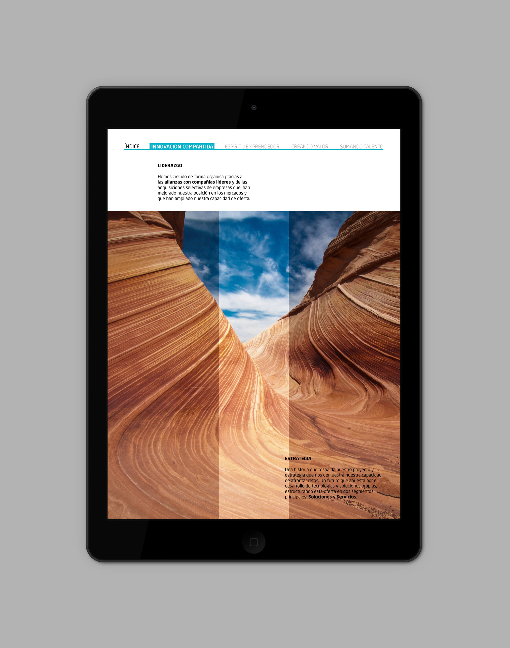 iPad-Air_Indra07.jpg