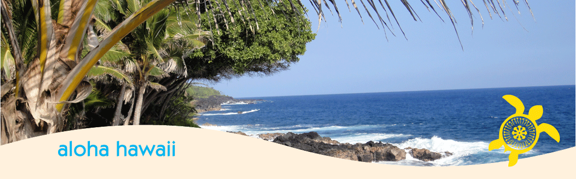 hawaii_reise_banner.png