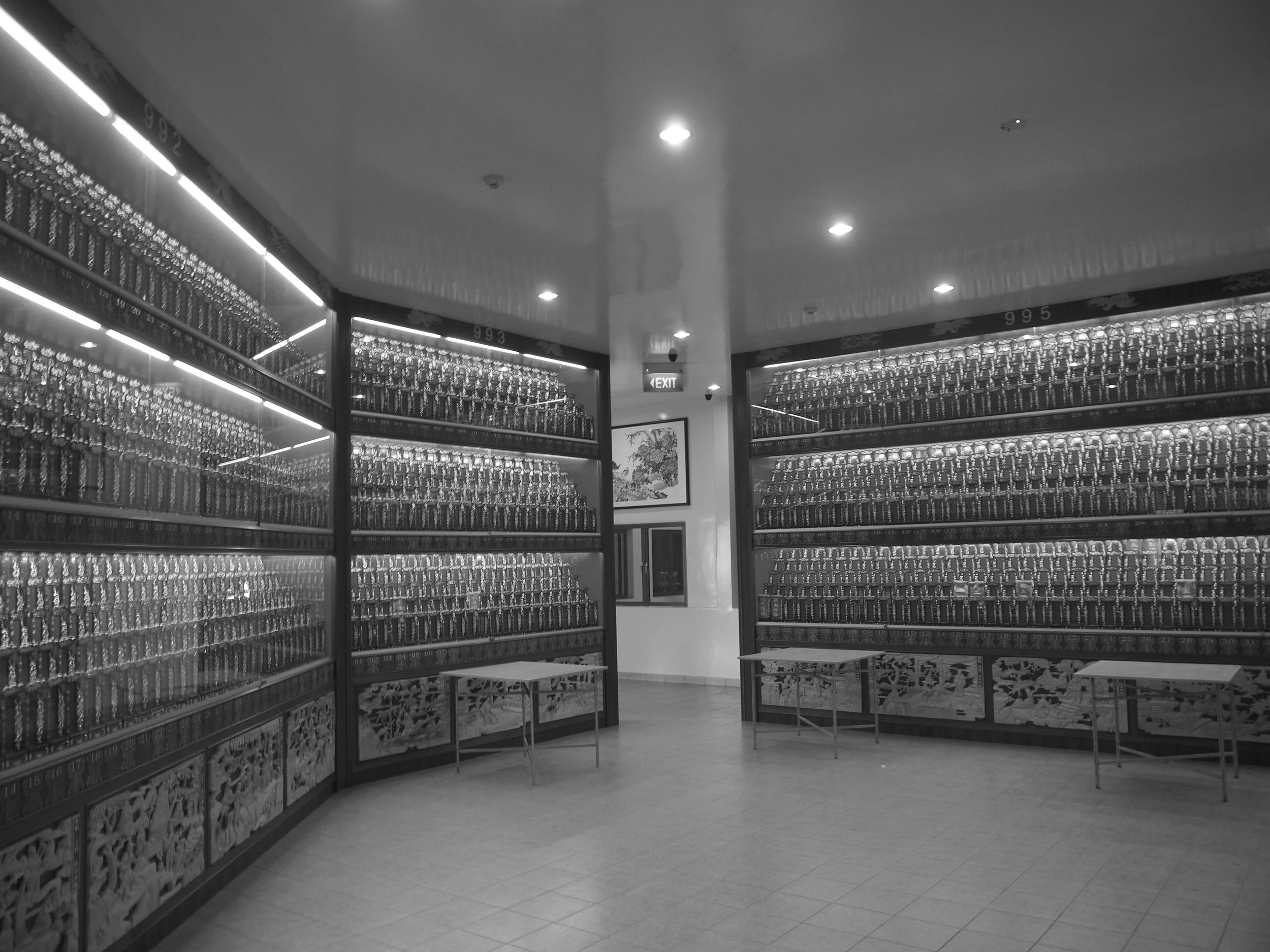 P1024861.JPG