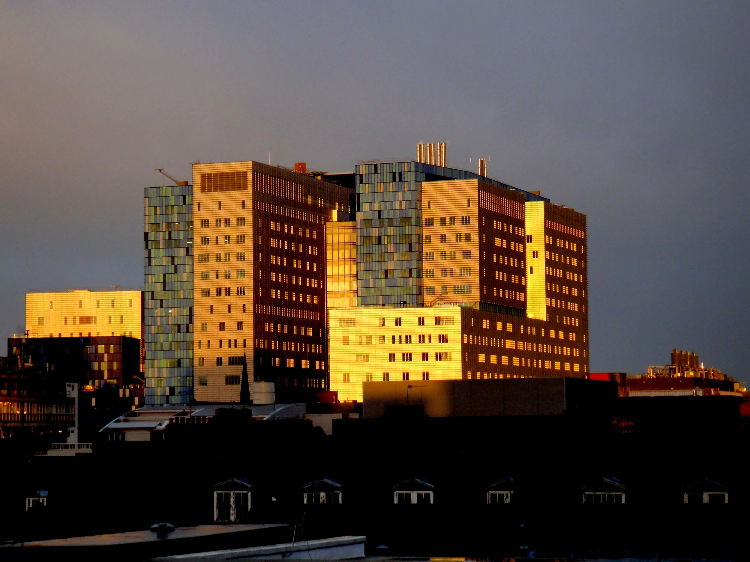 DSC02184.JPG