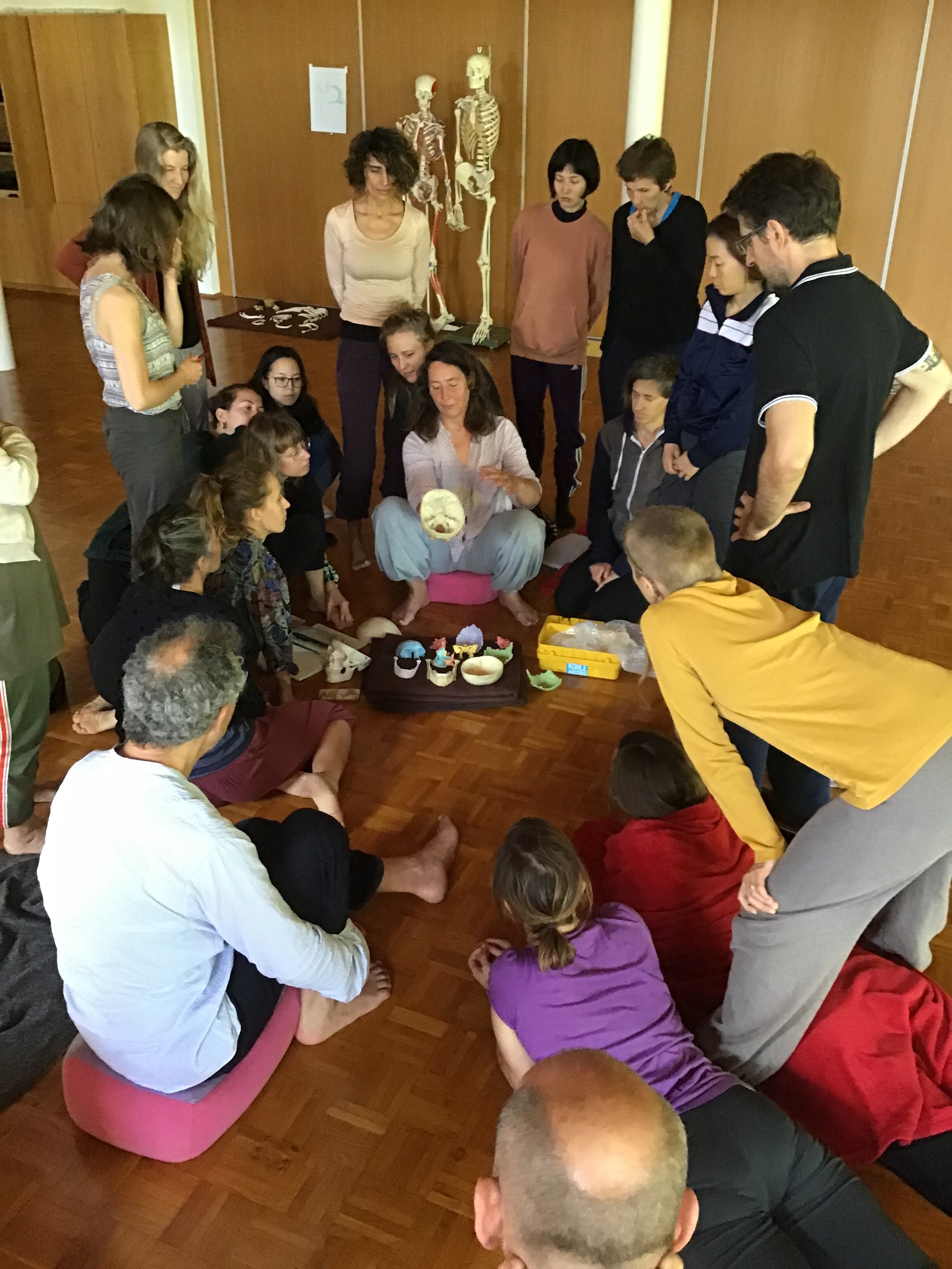 VUSSEM, GERMANY: BMC® PRACTITIONER PROGRAM (Moveus)
