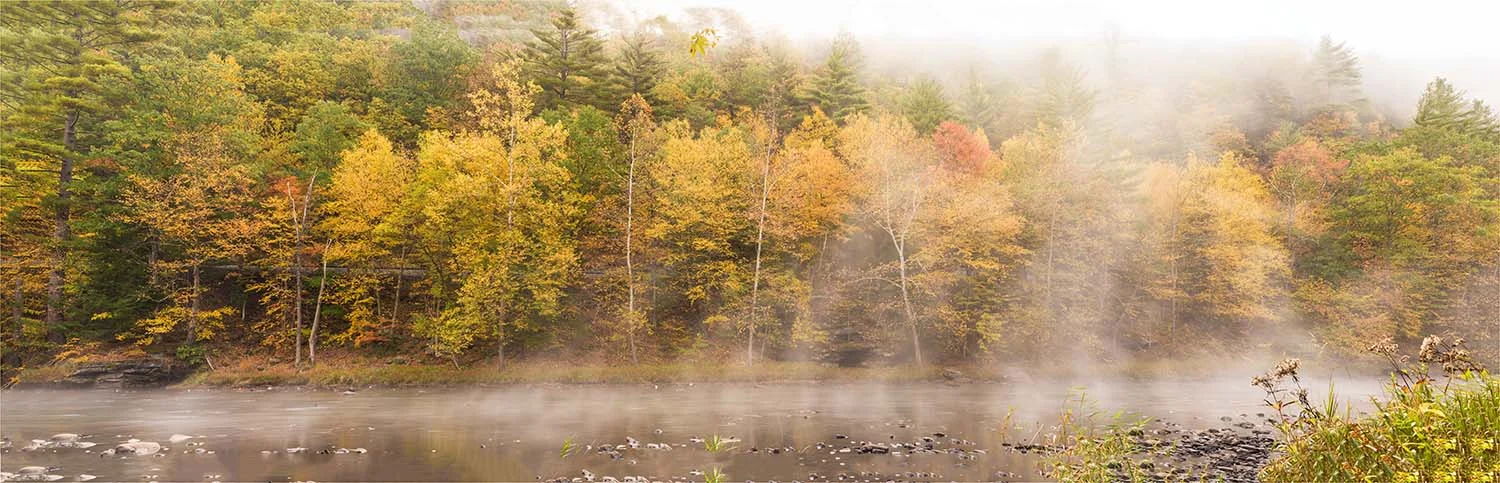 River pano cvs.jpg
