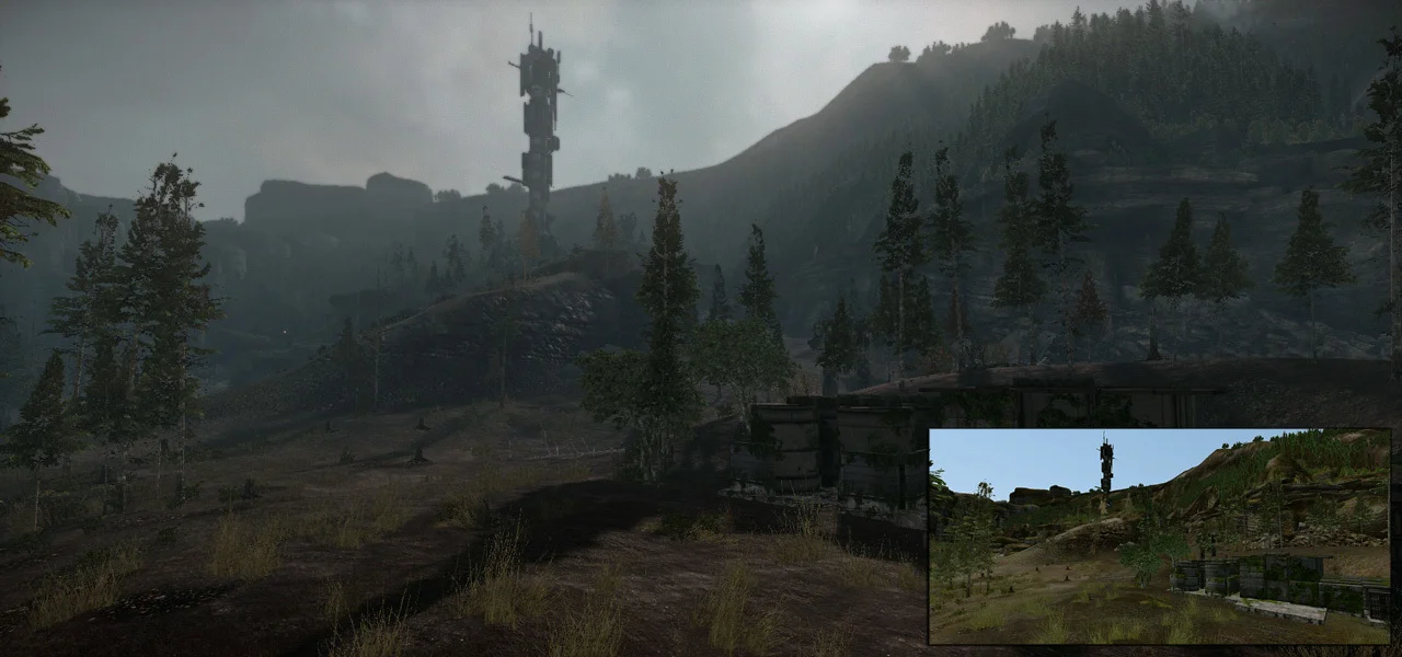 Forest Colony